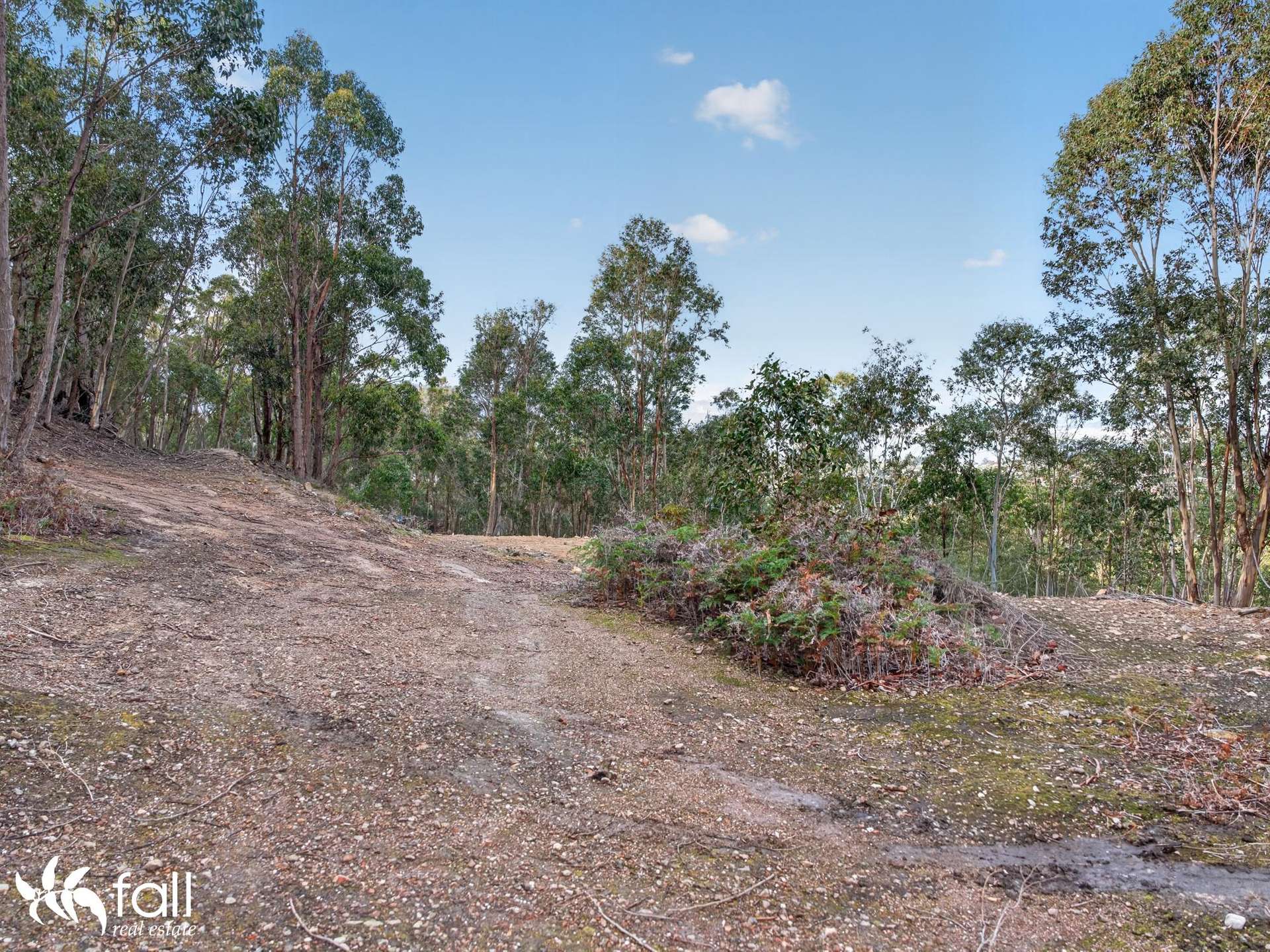 162 Toffolis Road, Claremont For Sale by Farmbuy.com - image 18