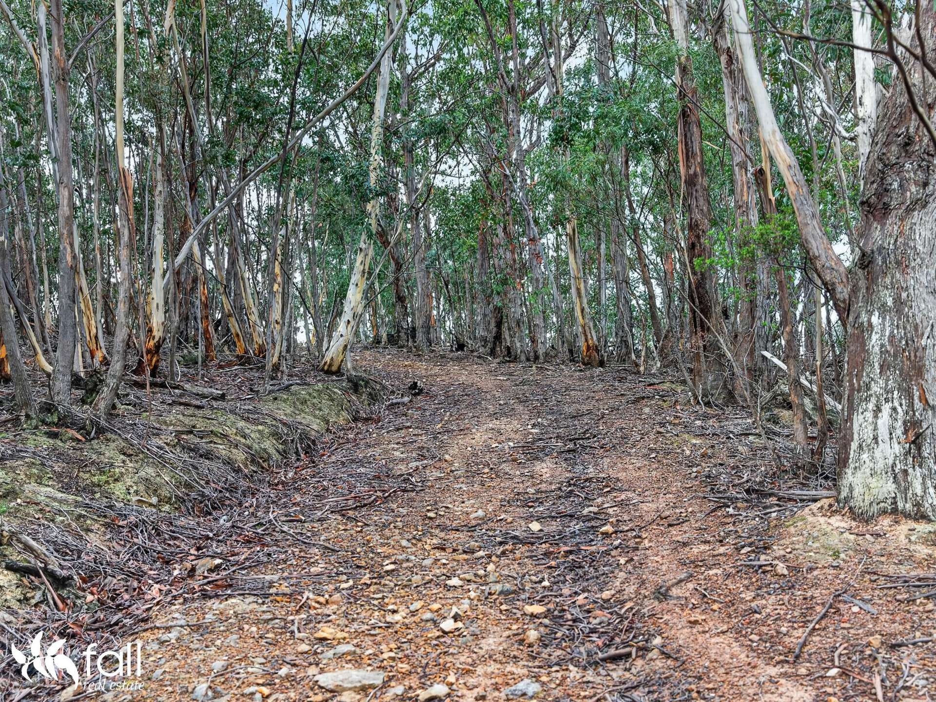 162 Toffolis Road, Claremont For Sale by Farmbuy.com - image 20