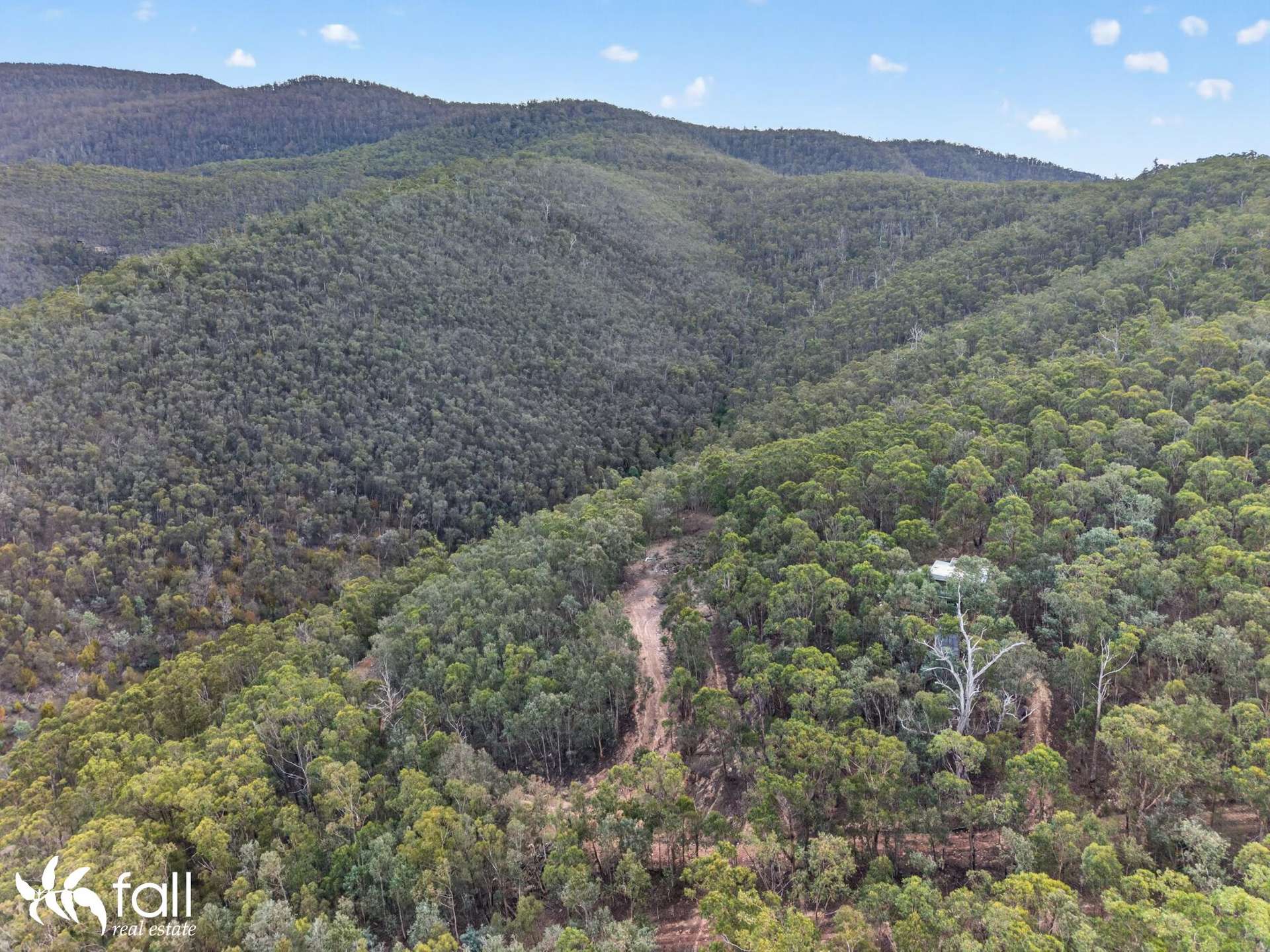 162 Toffolis Road, Claremont For Sale by Farmbuy.com - image 5
