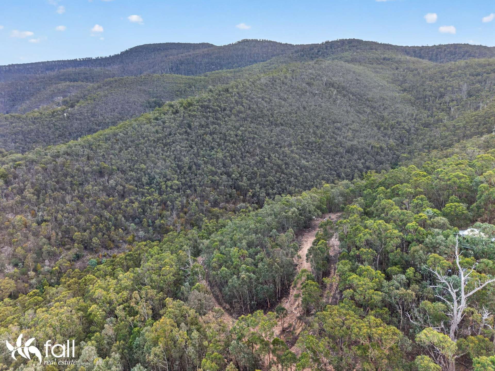 162 Toffolis Road, Claremont For Sale by Farmbuy.com - image 4
