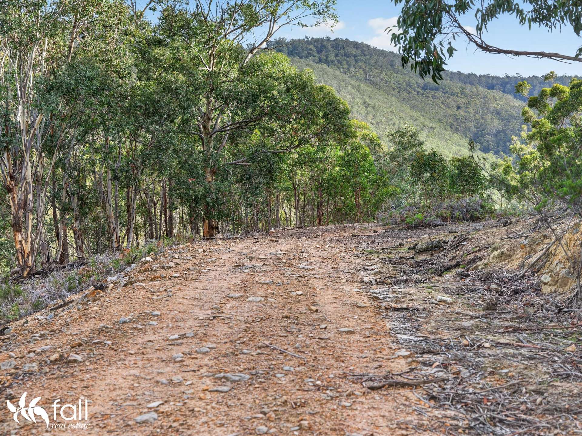 162 Toffolis Road, Claremont For Sale by Farmbuy.com - image 14