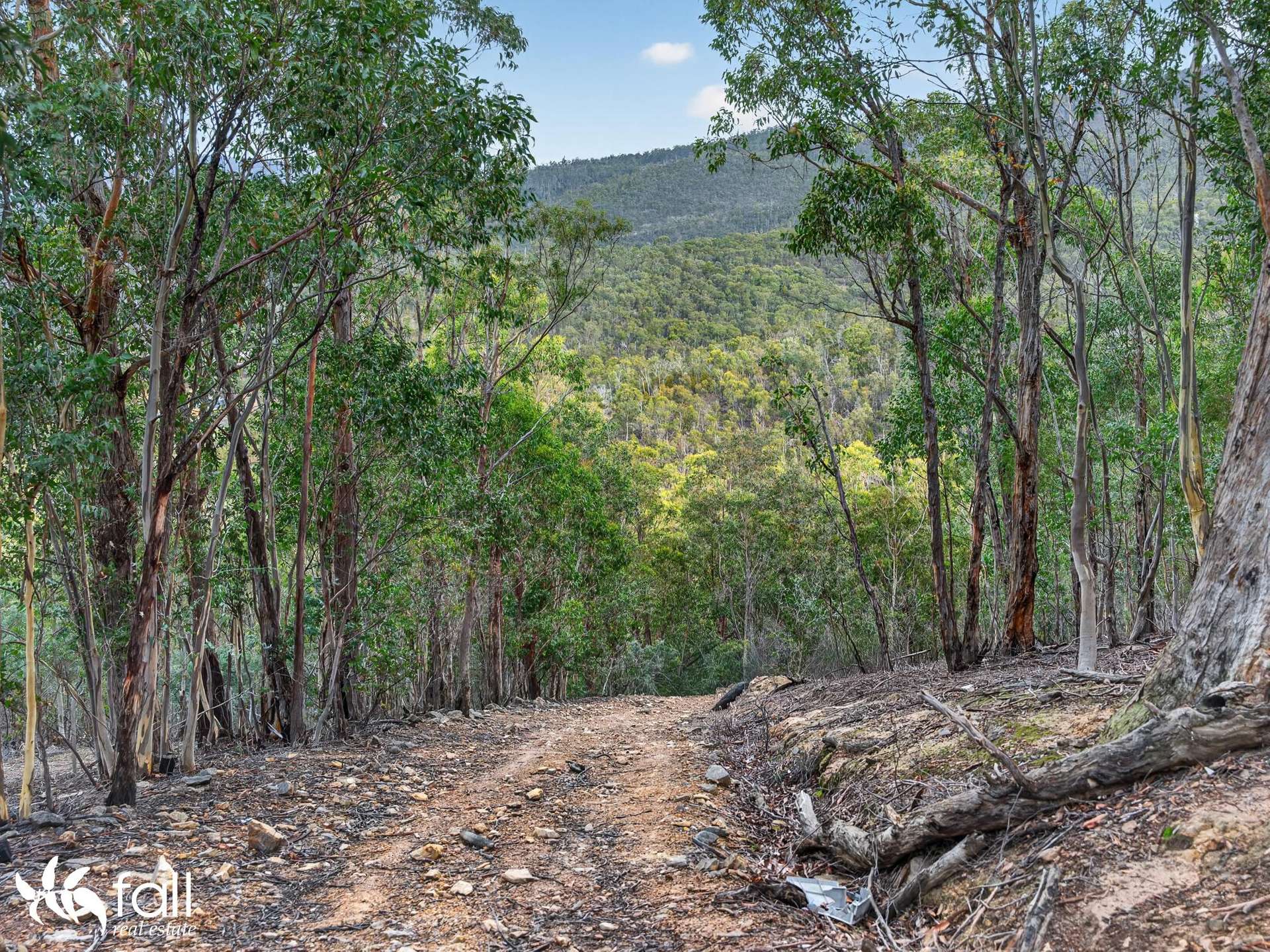 162 Toffolis Road, Claremont For Sale by Farmbuy.com - image 22