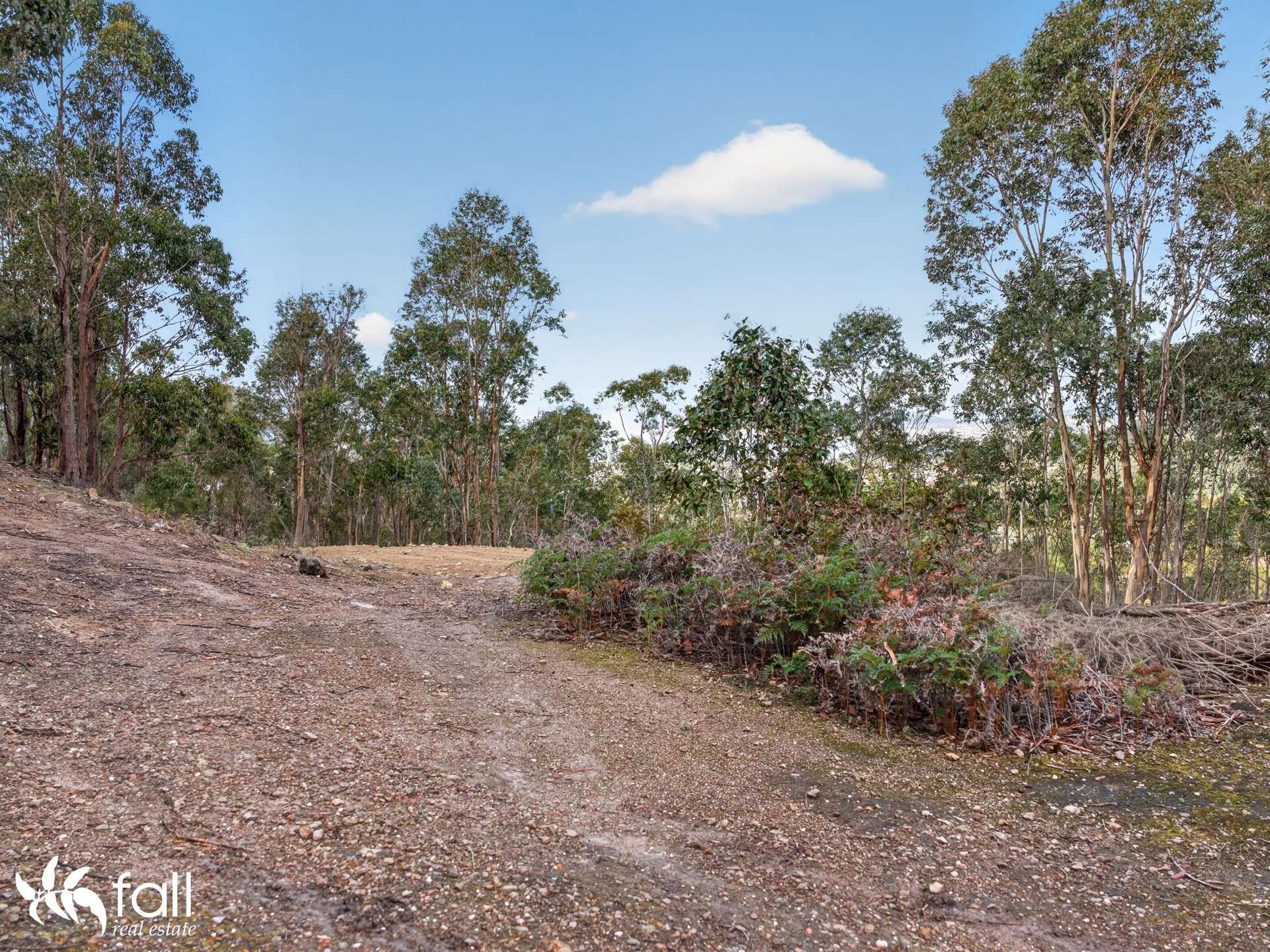 162 Toffolis Road, Claremont For Sale by Farmbuy.com - image 17