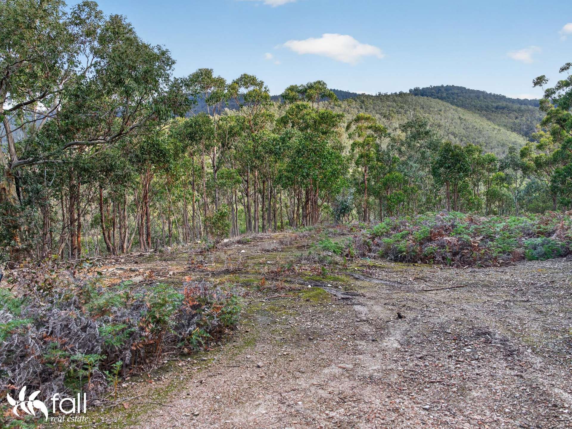 162 Toffolis Road, Claremont For Sale by Farmbuy.com - image 16