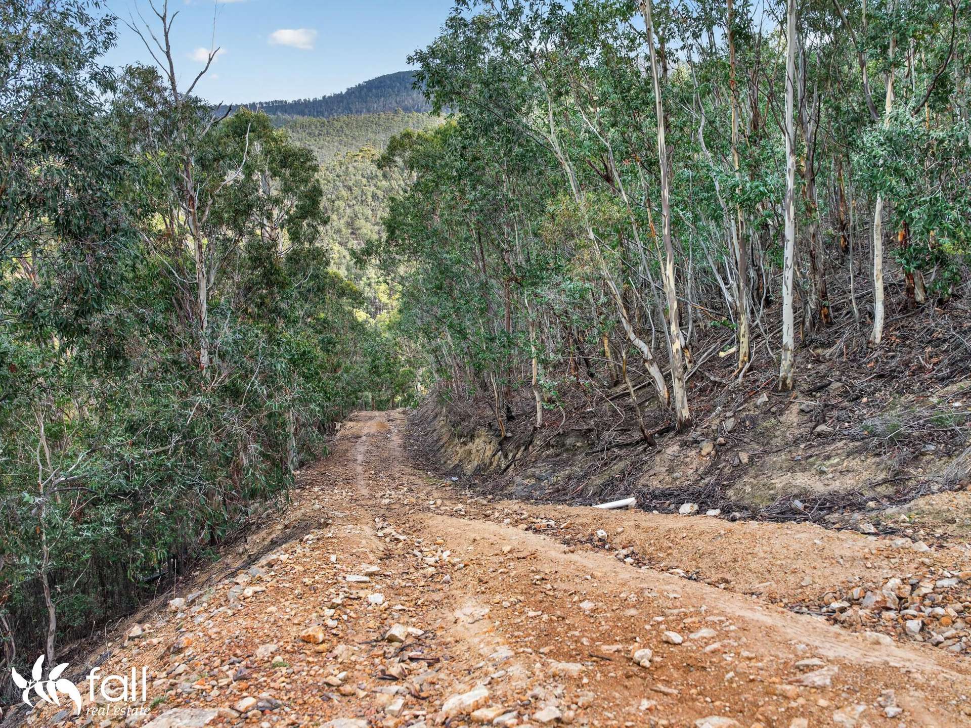 162 Toffolis Road, Claremont For Sale by Farmbuy.com - image 12