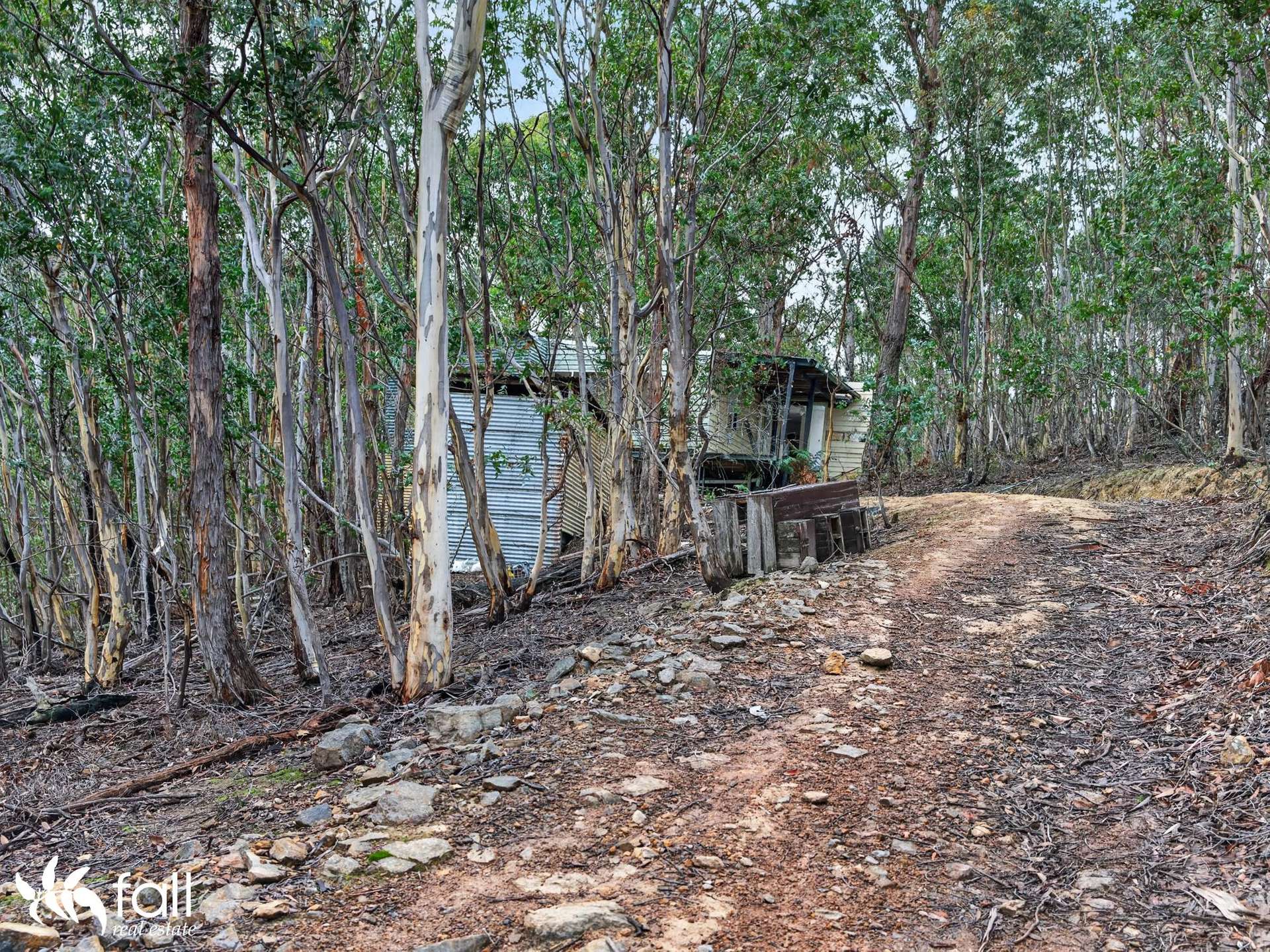 162 Toffolis Road, Claremont For Sale by Farmbuy.com - image 21