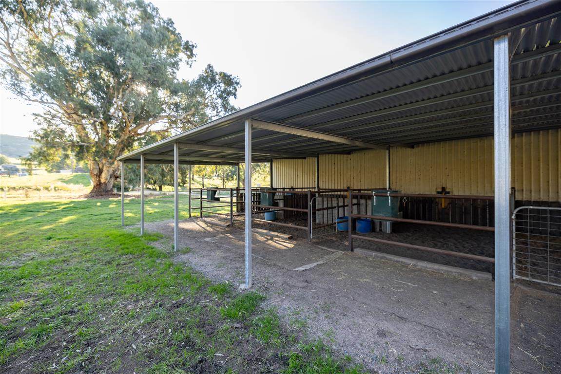 152 Smarts Road, Tumut For Sale by Farmbuy.com - image 24