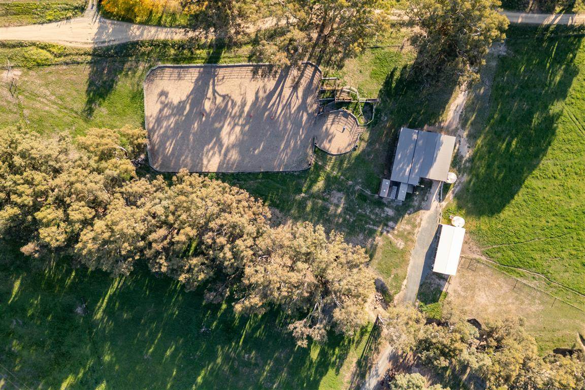 152 Smarts Road, Tumut For Sale by Farmbuy.com - image 19
