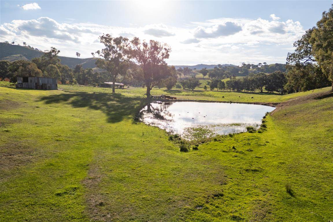 152 Smarts Road, Tumut For Sale by Farmbuy.com - image 23
