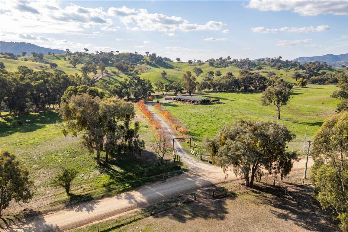 152 Smarts Road, Tumut For Sale by Farmbuy.com - image 17