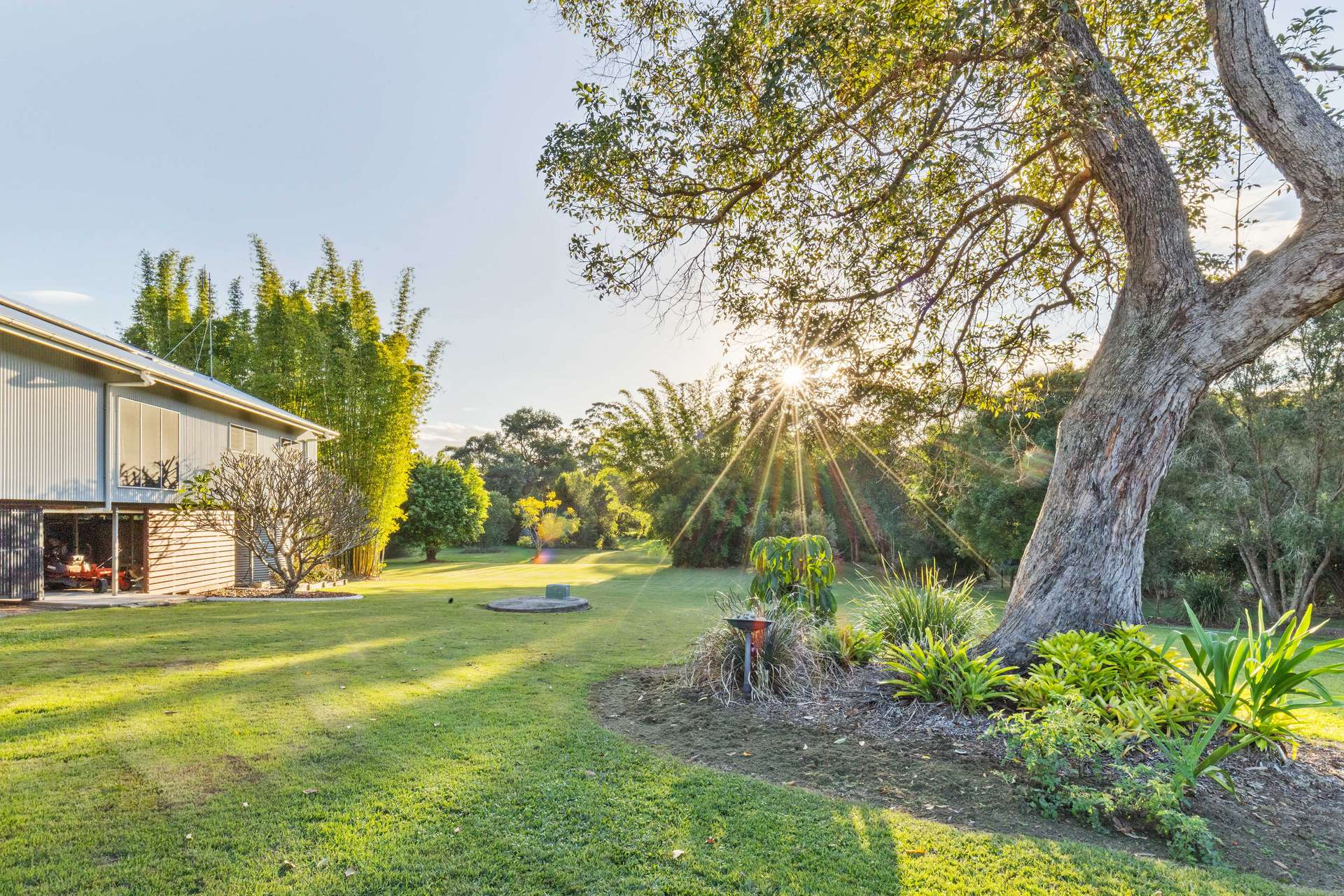51 Blue Wing Boulevard, Banks Pocket For Sale by Farmbuy.com - image 27
