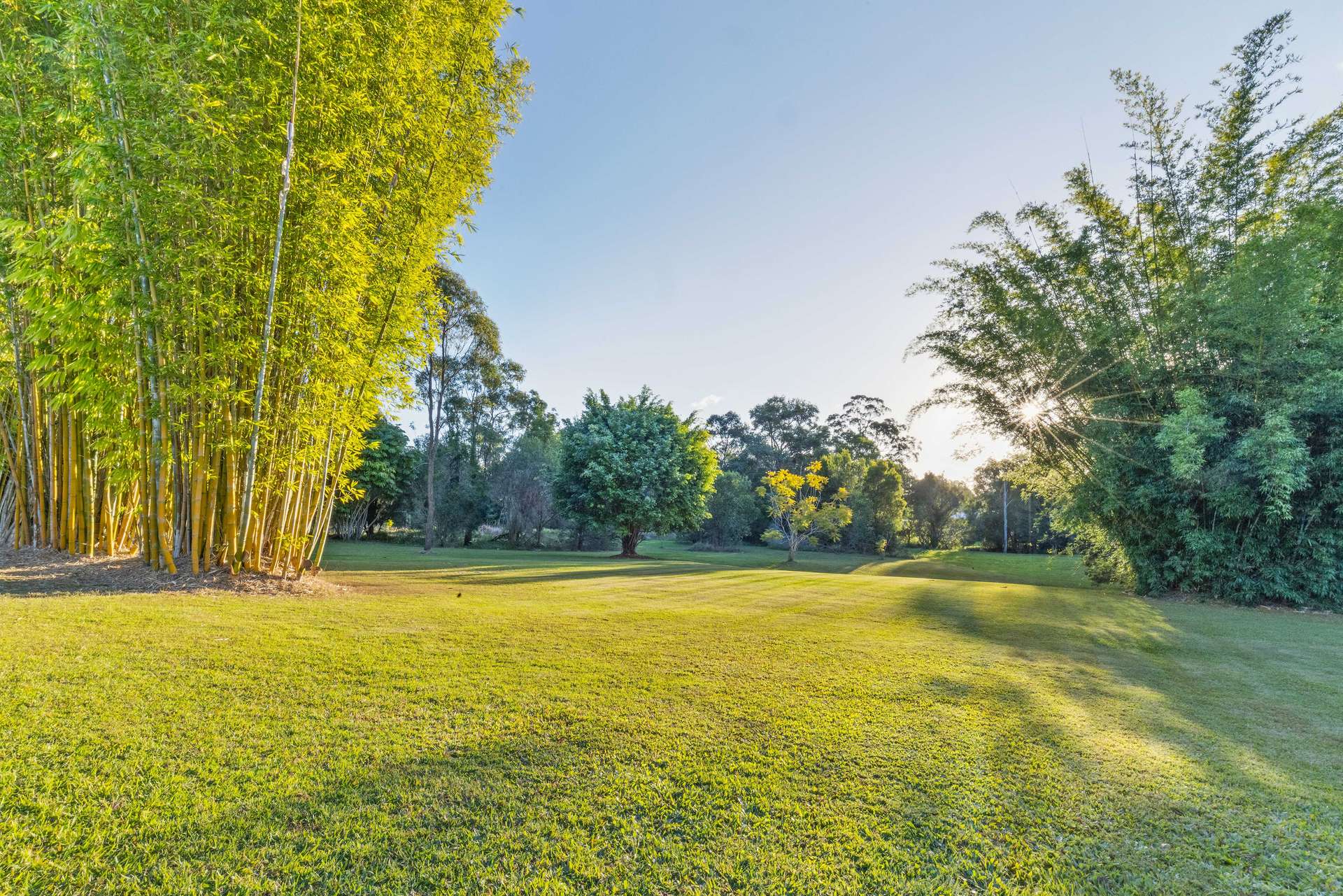 51 Blue Wing Boulevard, Banks Pocket For Sale by Farmbuy.com - image 2