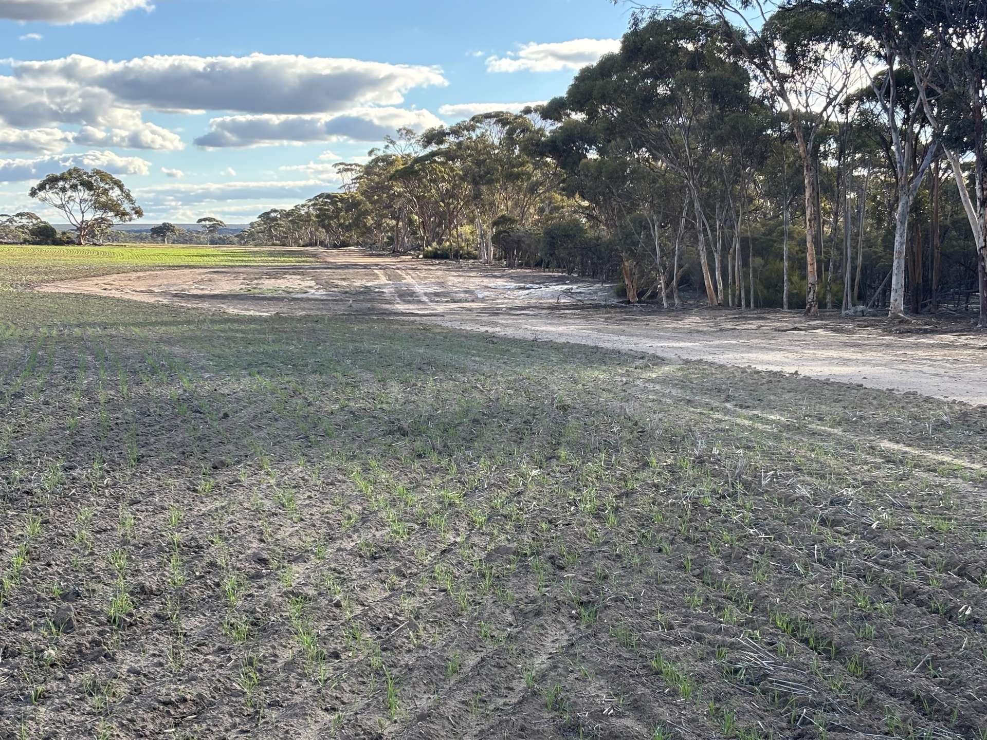 'New Land' Nulla Nulla South Road, South Yilgarn Auction by Farmbuy.com - image 8