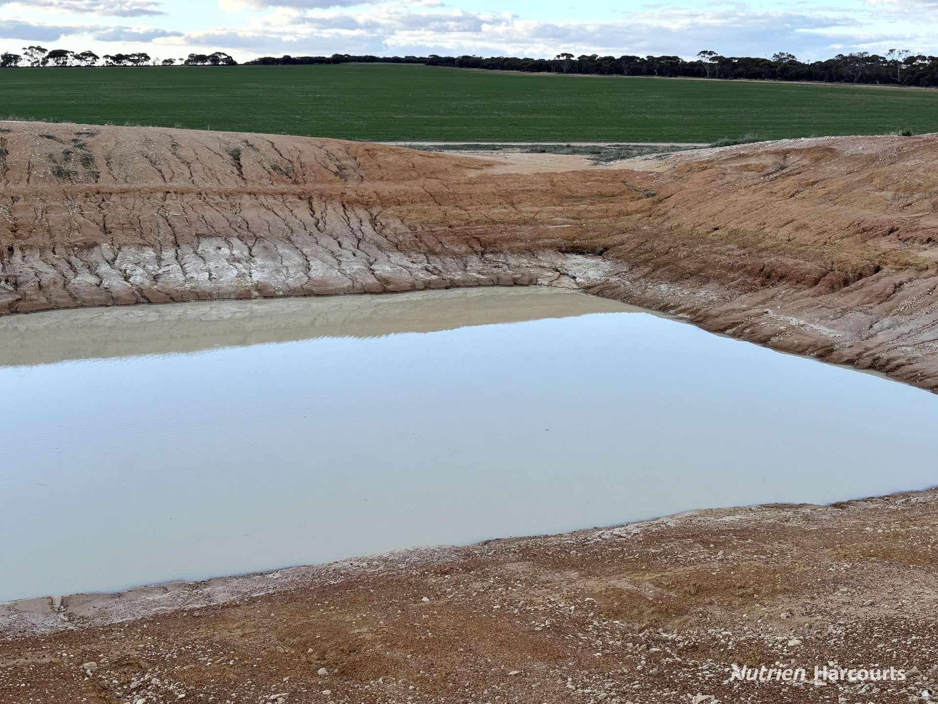 'New Land' Nulla Nulla South Road, South Yilgarn Auction by Farmbuy.com - image 2