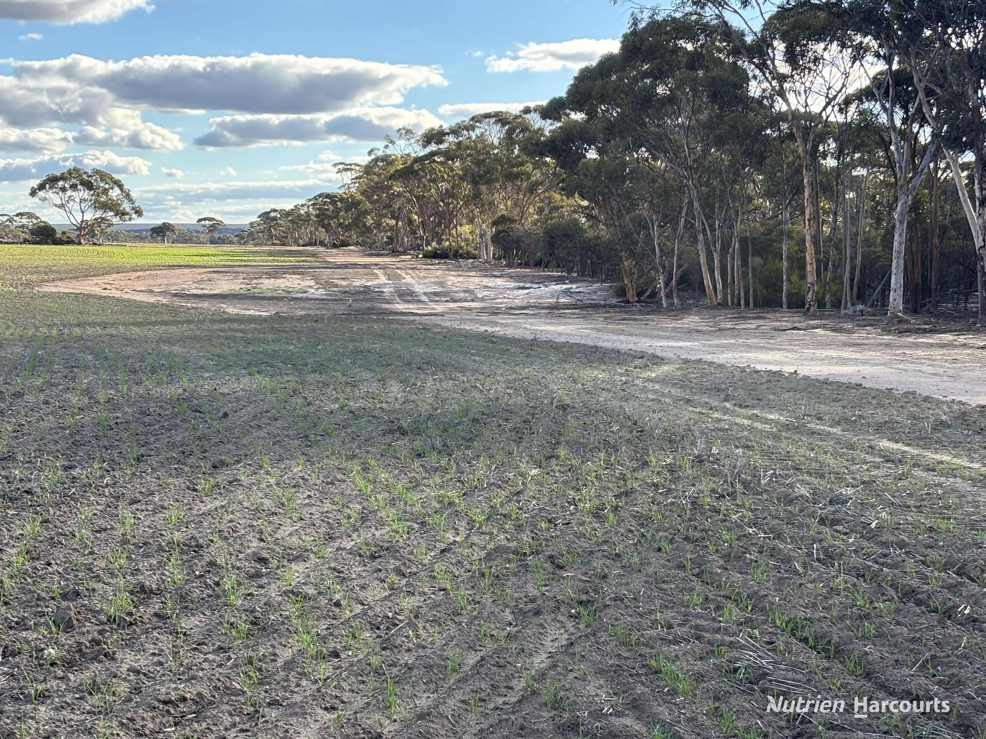 'New Land' Nulla Nulla South Road, South Yilgarn Auction by Farmbuy.com - image 8