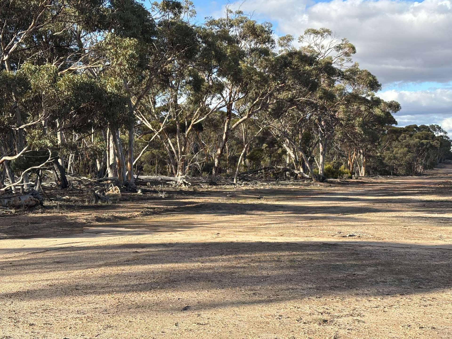 'New Land' Nulla Nulla South Road, South Yilgarn Auction by Farmbuy.com - image 11