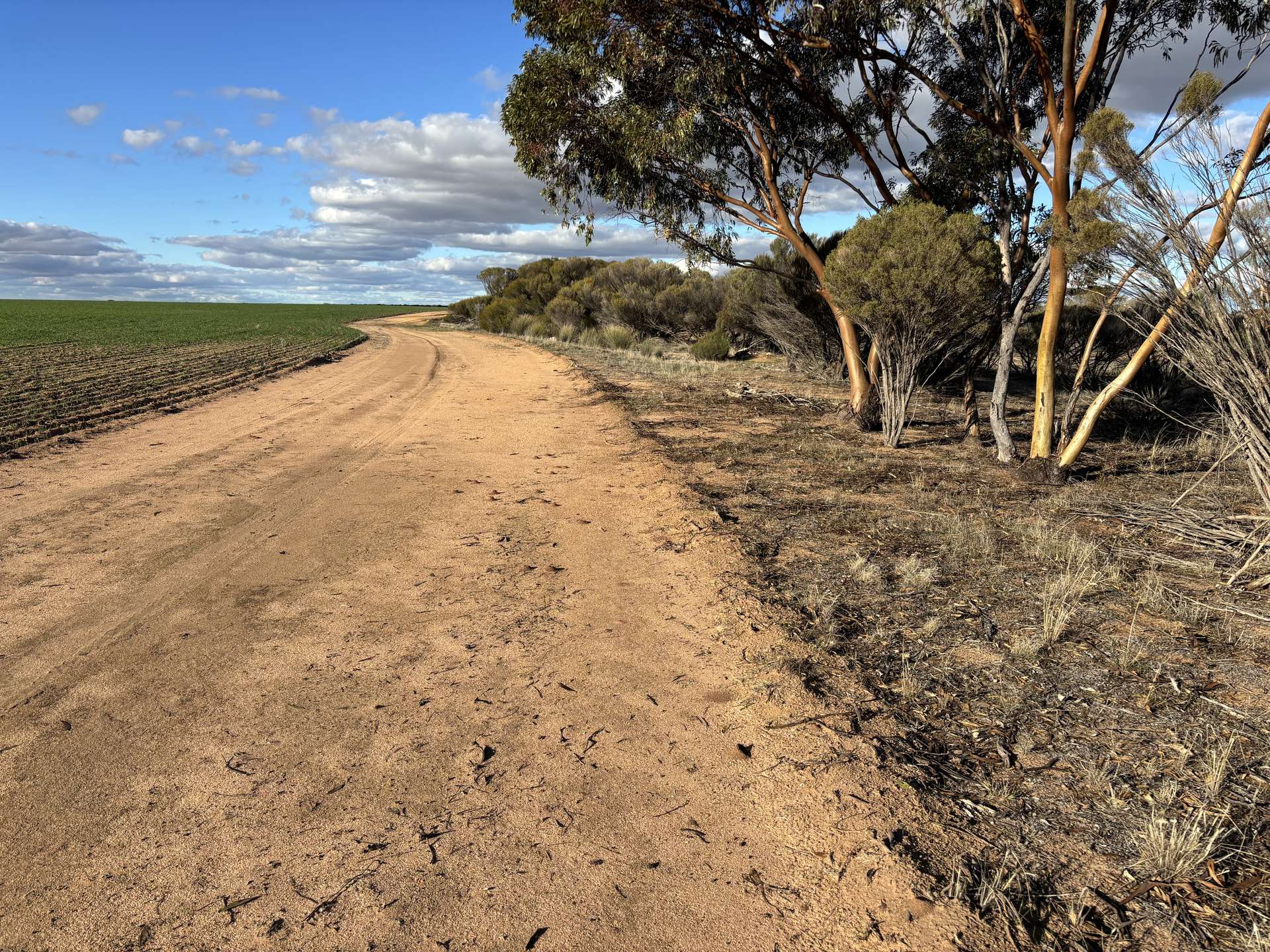 'New Land' Nulla Nulla South Road, South Yilgarn Auction by Farmbuy.com - image 6