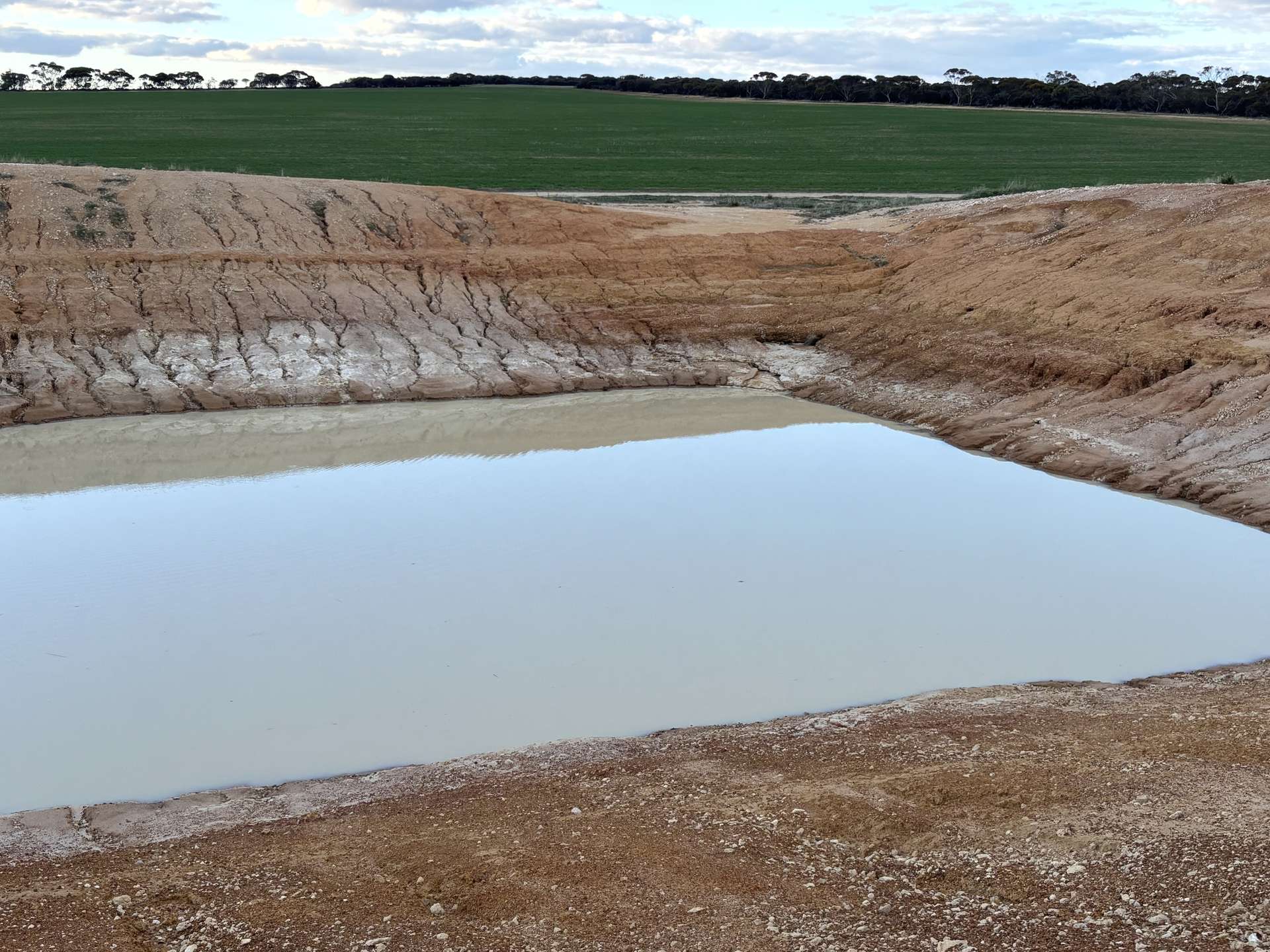 'New Land' Nulla Nulla South Road, South Yilgarn Auction by Farmbuy.com - image 2