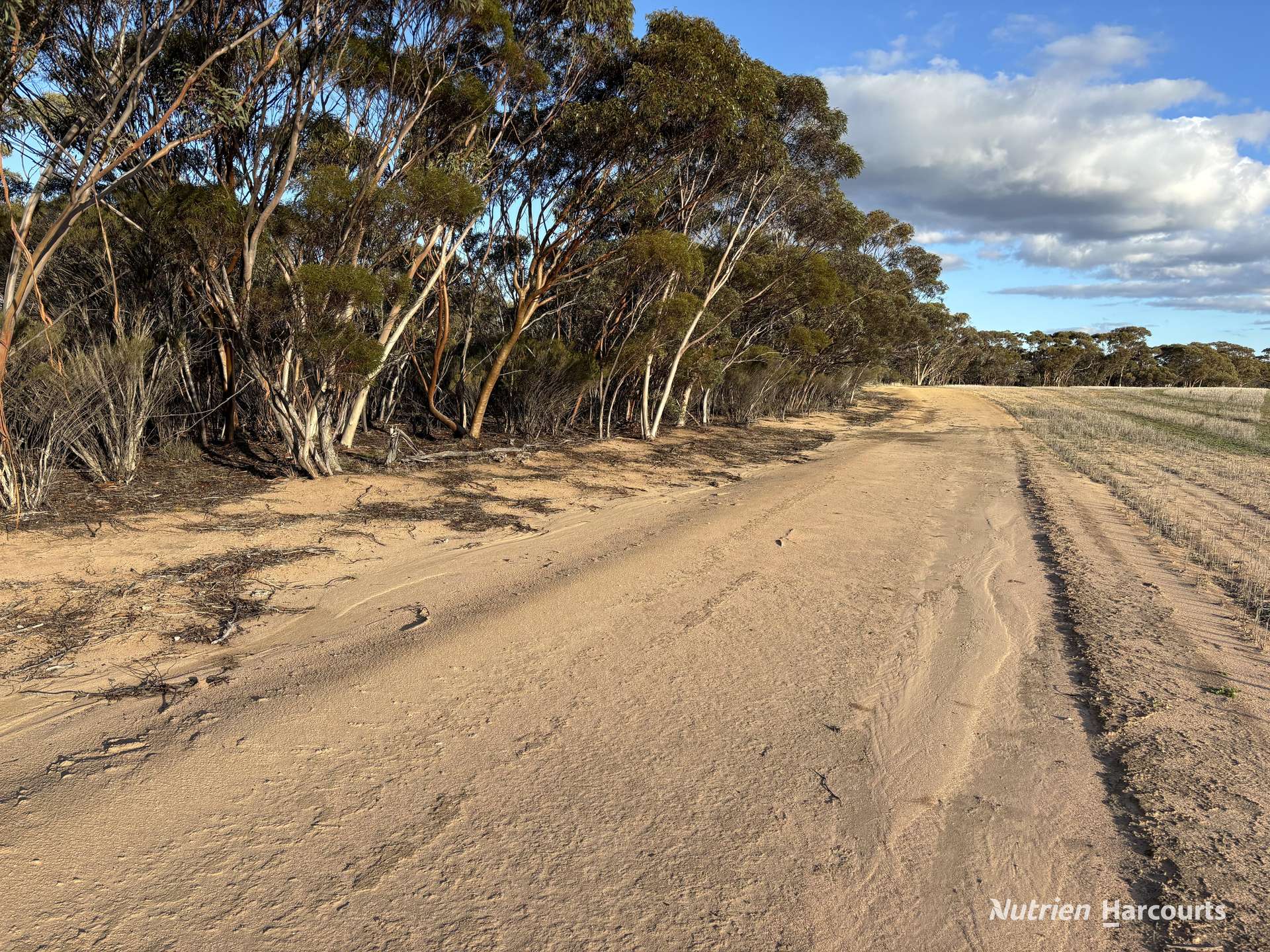 'New Land' Nulla Nulla South Road, South Yilgarn Auction by Farmbuy.com - image 17