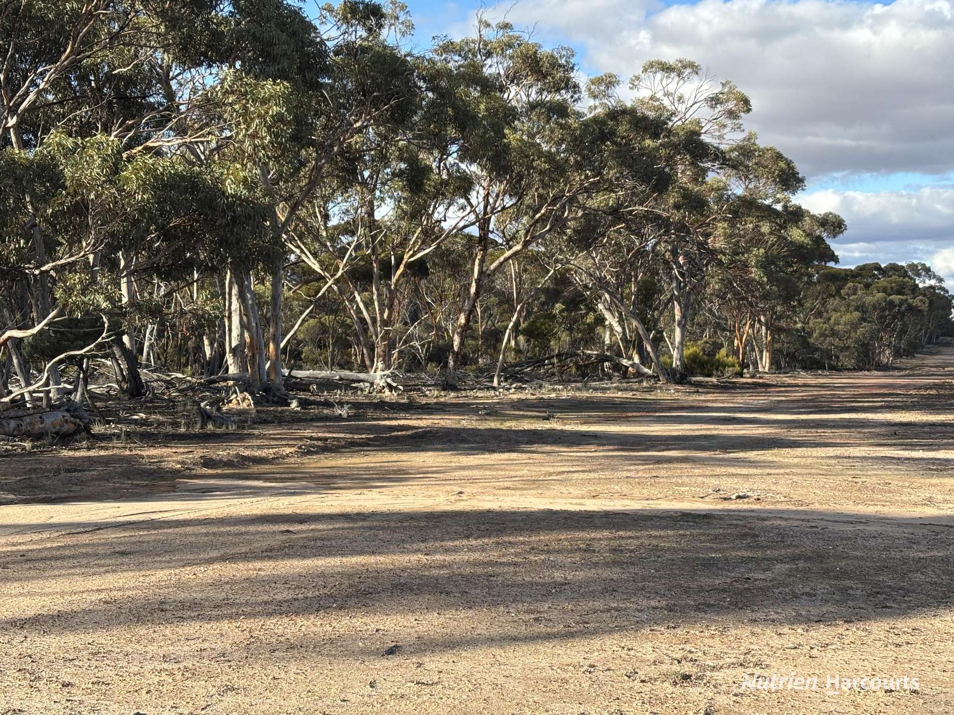 'New Land' Nulla Nulla South Road, South Yilgarn Auction by Farmbuy.com - image 11
