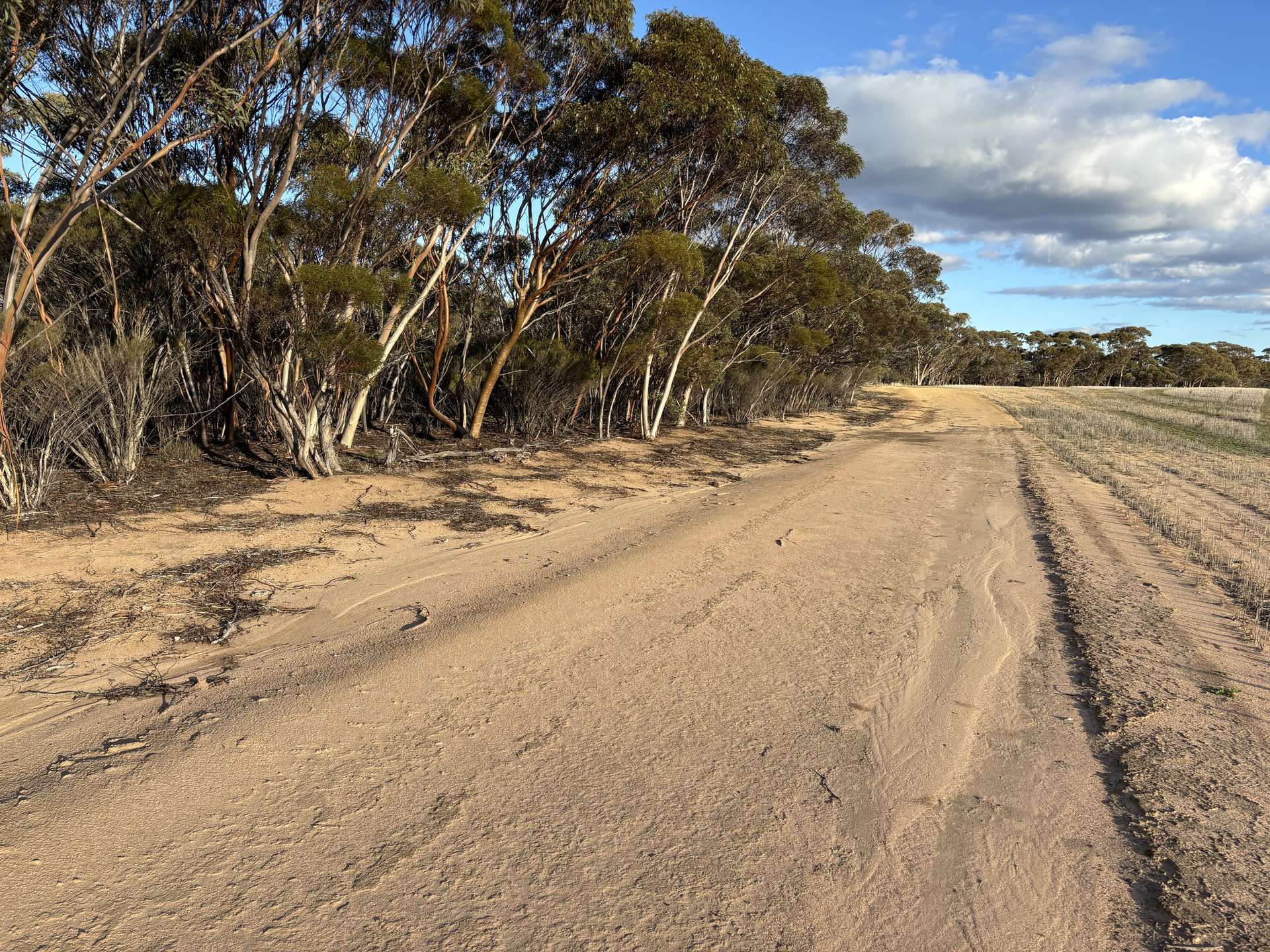 'New Land' Nulla Nulla South Road, South Yilgarn Auction by Farmbuy.com - image 17