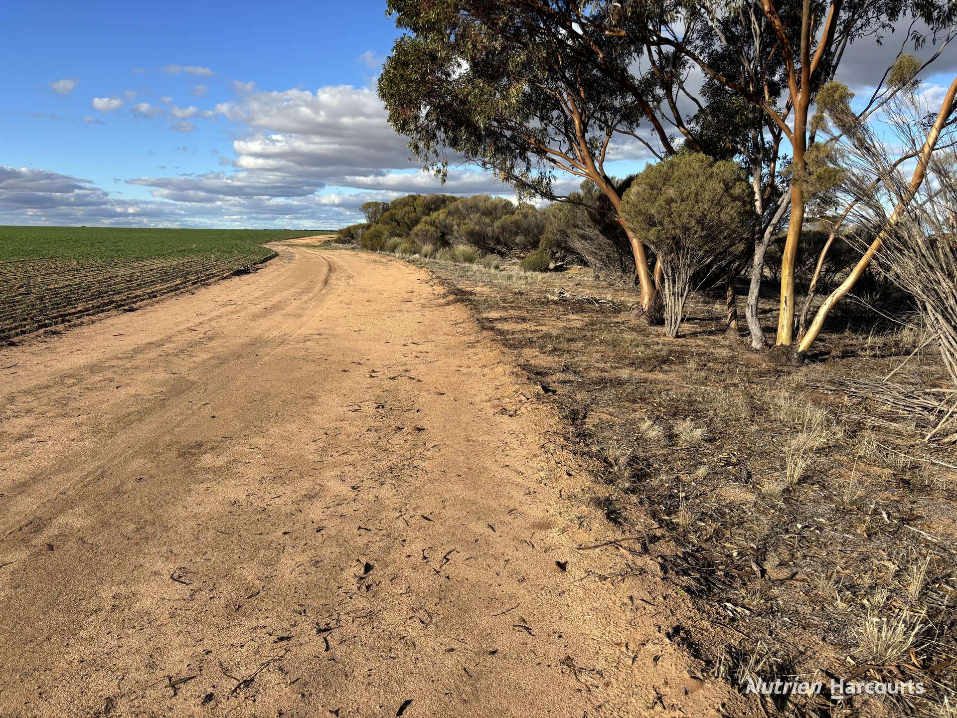 'New Land' Nulla Nulla South Road, South Yilgarn Auction by Farmbuy.com - image 6