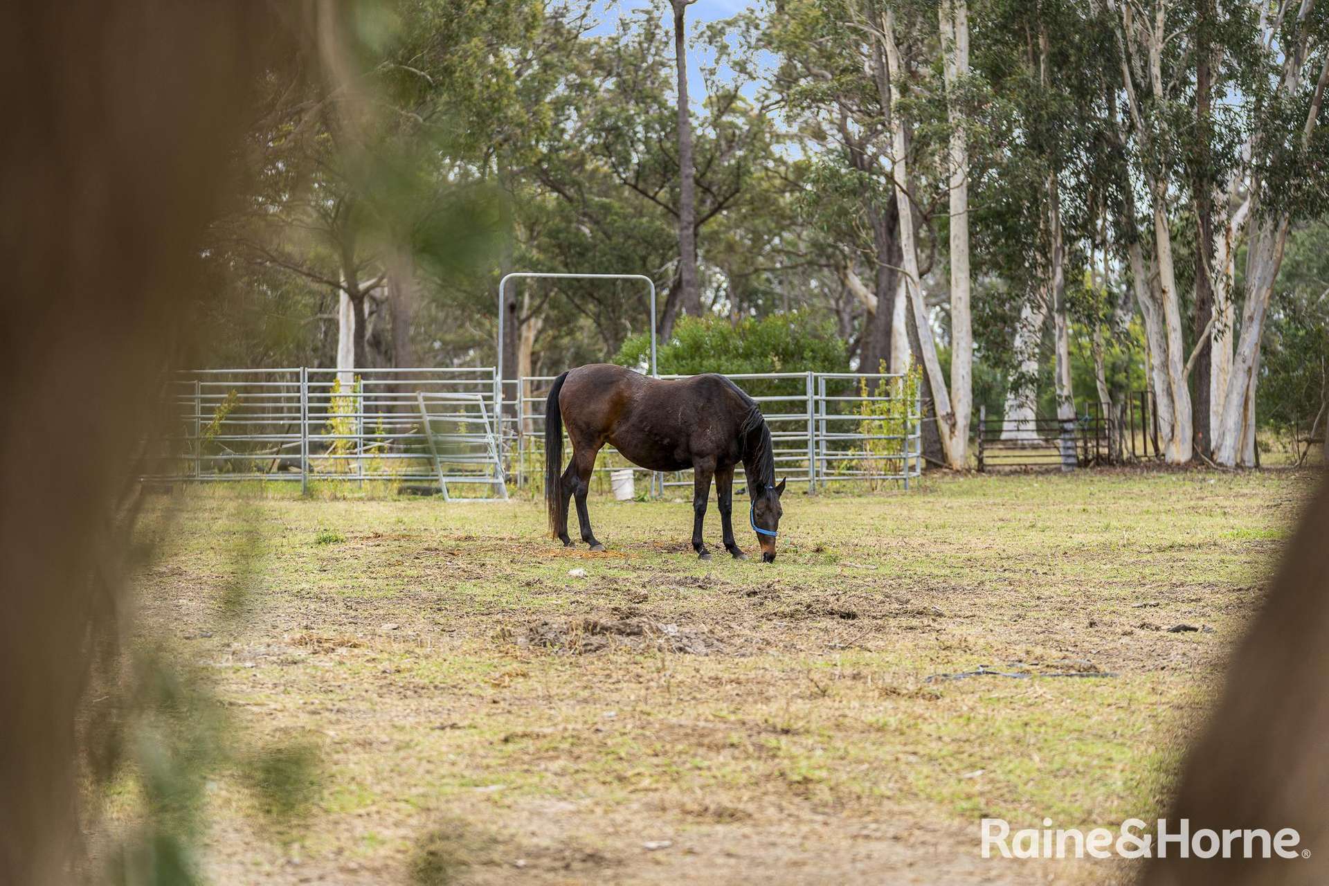 43 Flatrock Road, Mundamia For Sale by Farmbuy.com - image 16