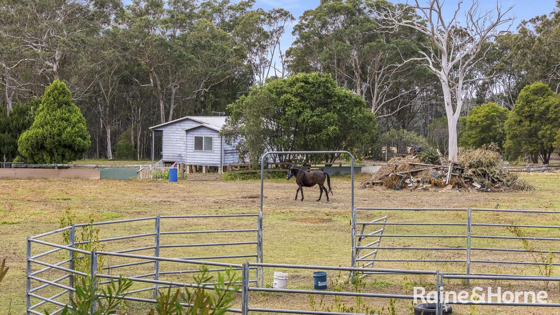 43 Flatrock Road, Mundamia For Sale by Farmbuy.com - image 6
