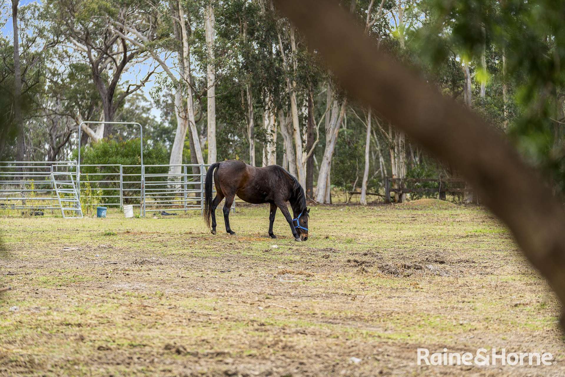 43 Flatrock Road, Mundamia For Sale by Farmbuy.com - image 17