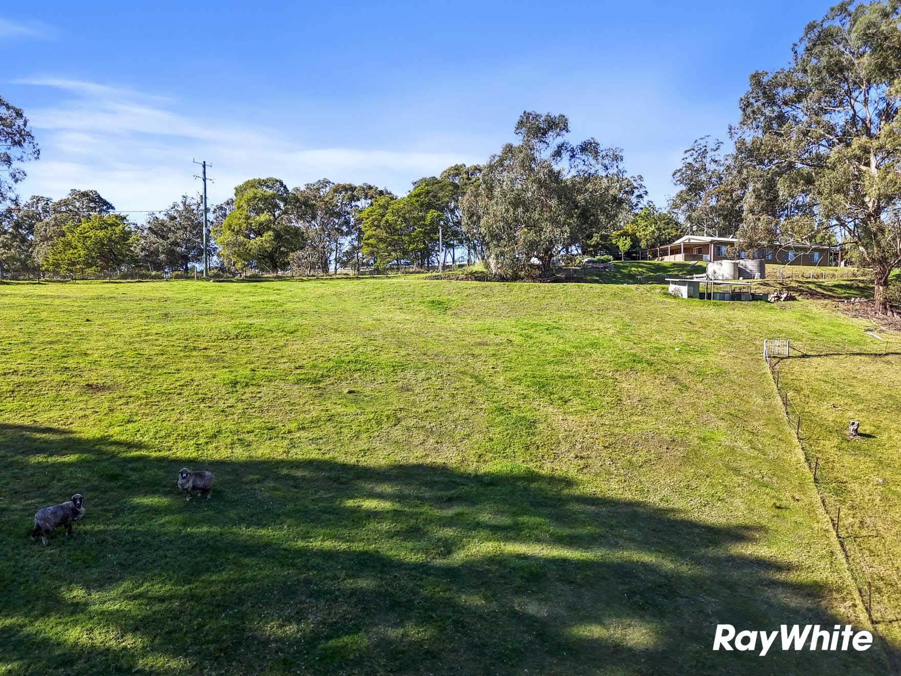 5 Grace Close, Malua Bay For Sale by Farmbuy.com - image 22