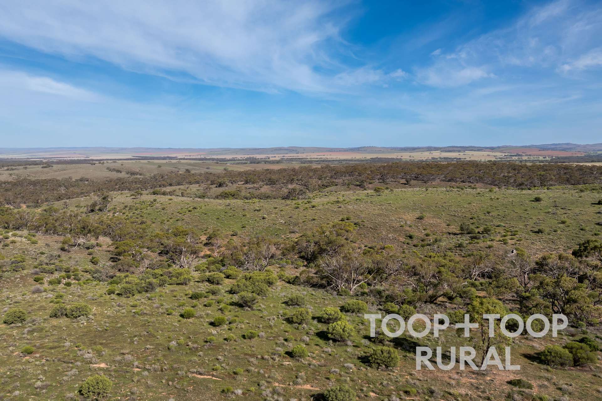 Lot 32 North Hills Road, Frankton For Sale by Farmbuy.com - image 13