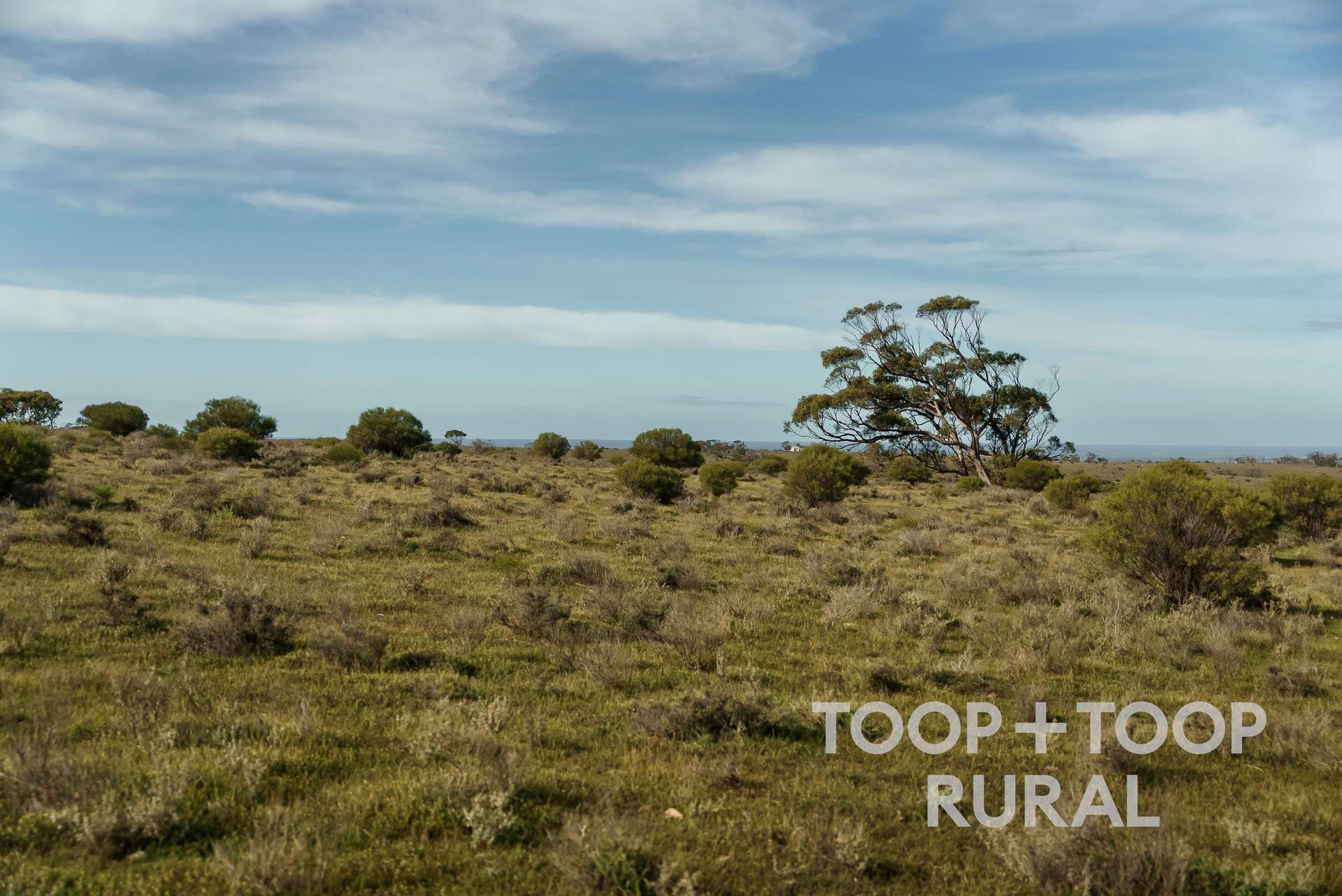 Lot 32 North Hills Road, Frankton For Sale by Farmbuy.com - image 11
