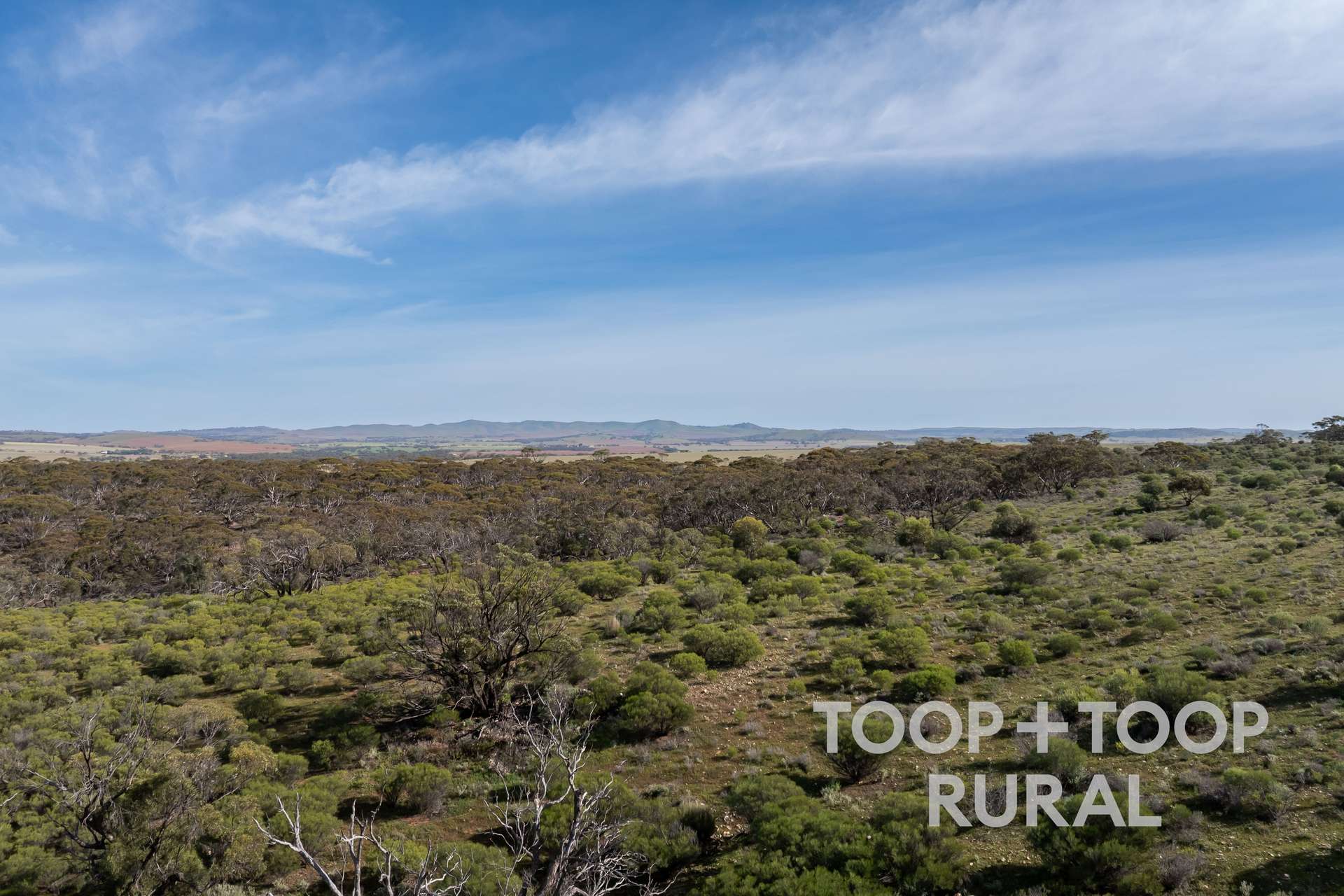 Lot 32 North Hills Road, Frankton For Sale by Farmbuy.com - image 7