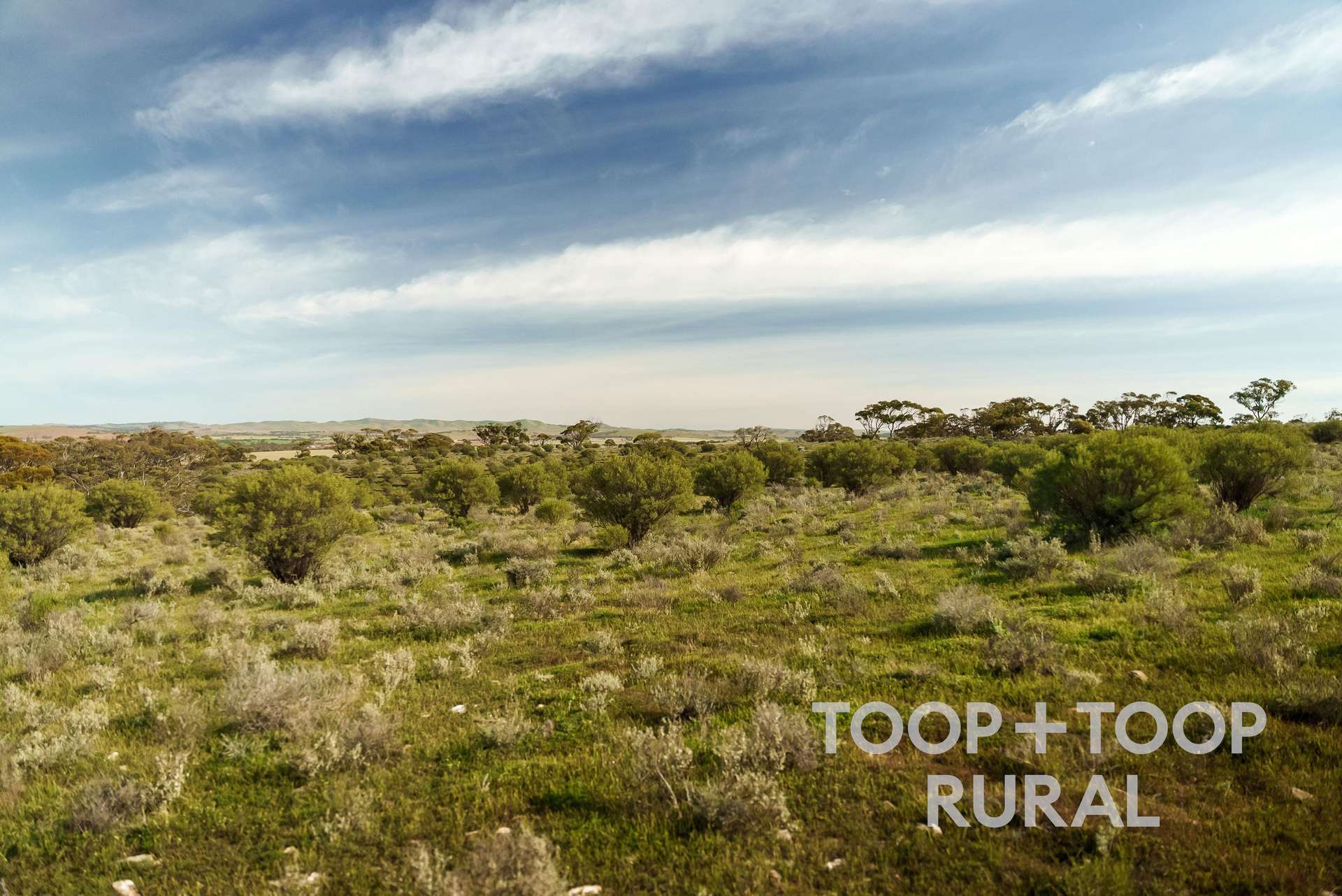 Lot 32 North Hills Road, Frankton For Sale by Farmbuy.com - image 9