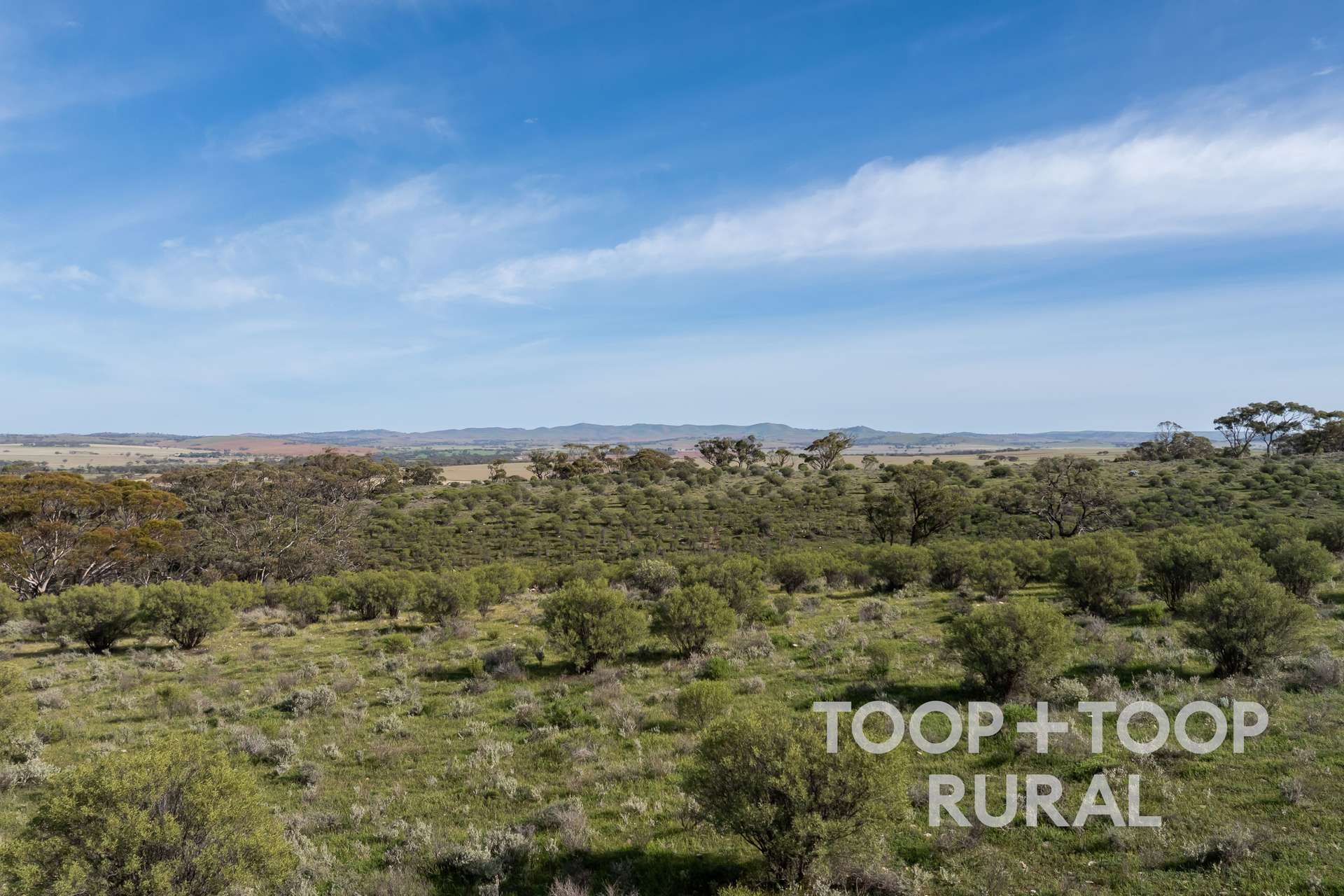 Lot 32 North Hills Road, Frankton For Sale by Farmbuy.com - image 3