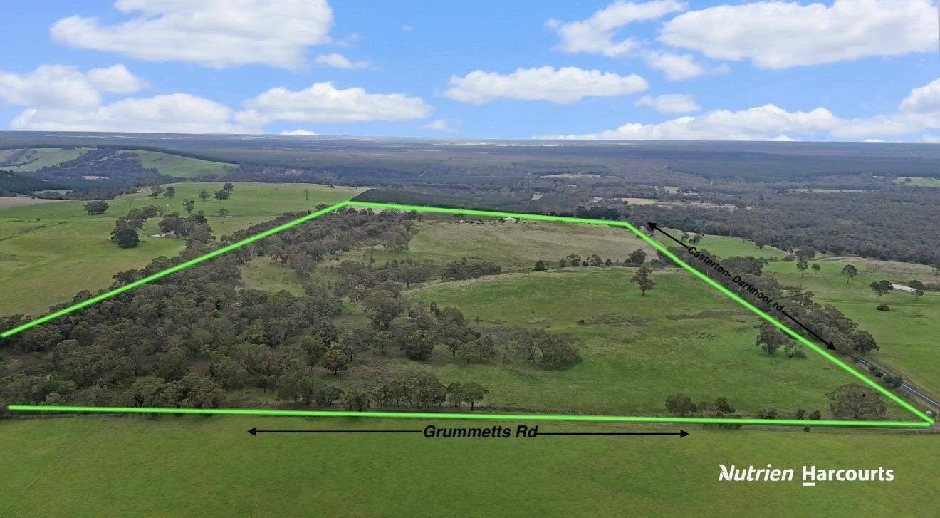 411 Casterton - Dartmoor Road, Bahgallah For Sale by Farmbuy.com - image 14