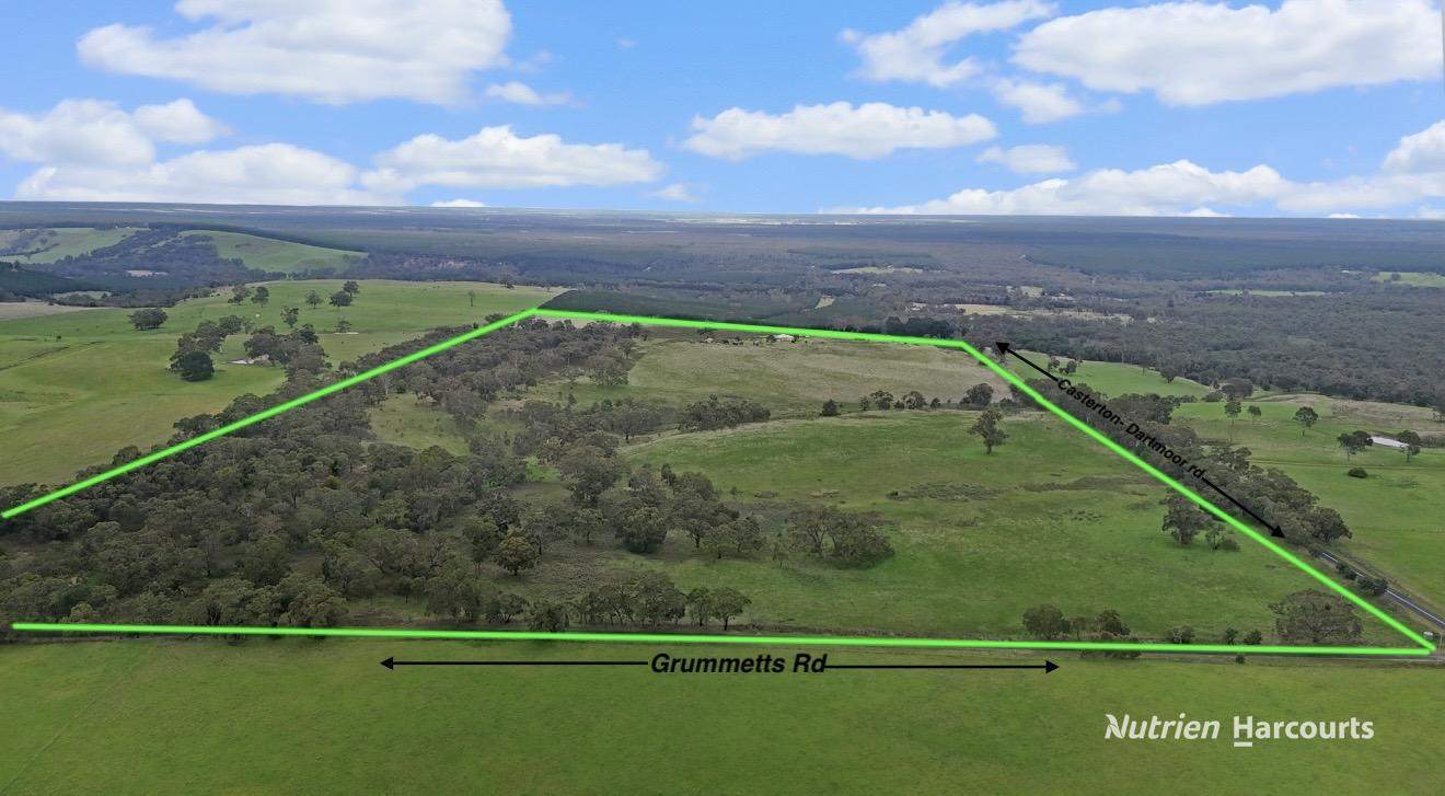 411 Casterton - Dartmoor Road, Bahgallah For Sale by Farmbuy.com - image 13
