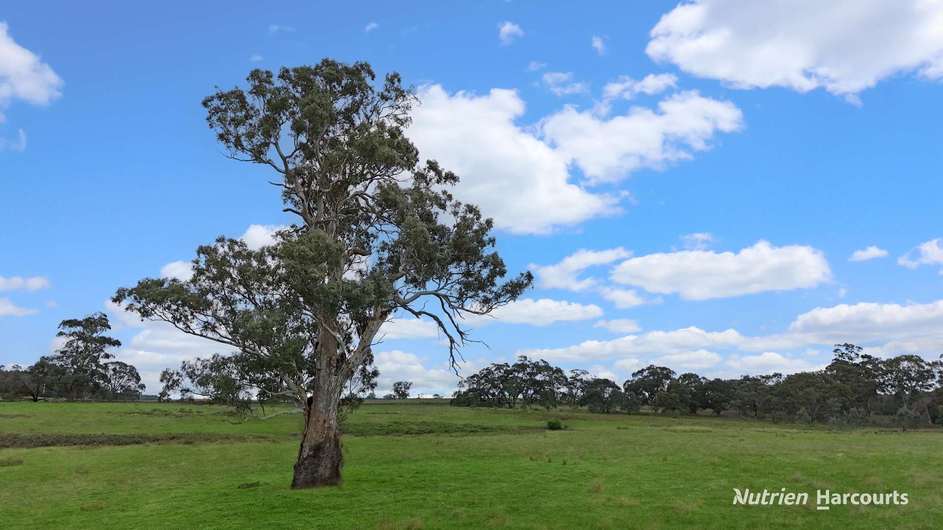 411 Casterton - Dartmoor Road, Bahgallah For Sale by Farmbuy.com - image 4