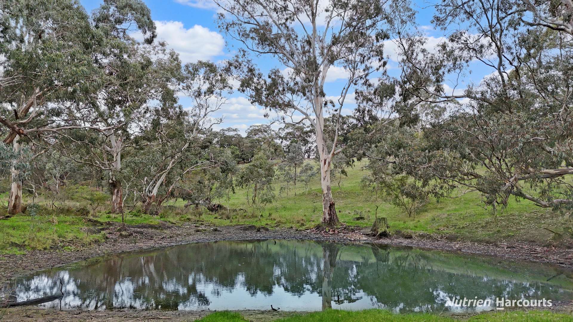 411 Casterton - Dartmoor Road, Bahgallah For Sale by Farmbuy.com - image 2