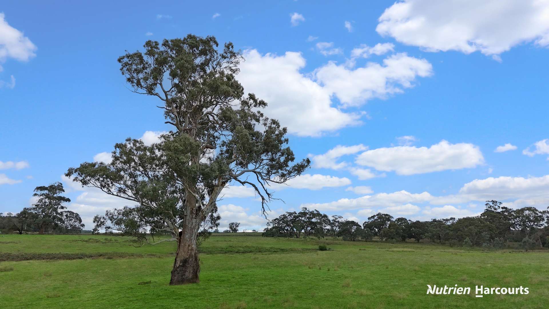 411 Casterton - Dartmoor Road, Bahgallah For Sale by Farmbuy.com - image 3