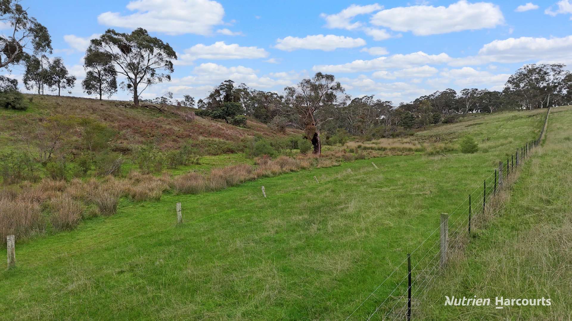 411 Casterton - Dartmoor Road, Bahgallah For Sale by Farmbuy.com - image 11