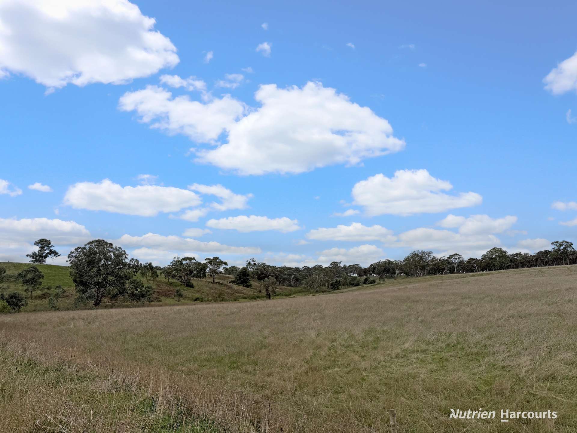 411 Casterton - Dartmoor Road, Bahgallah For Sale by Farmbuy.com - image 21