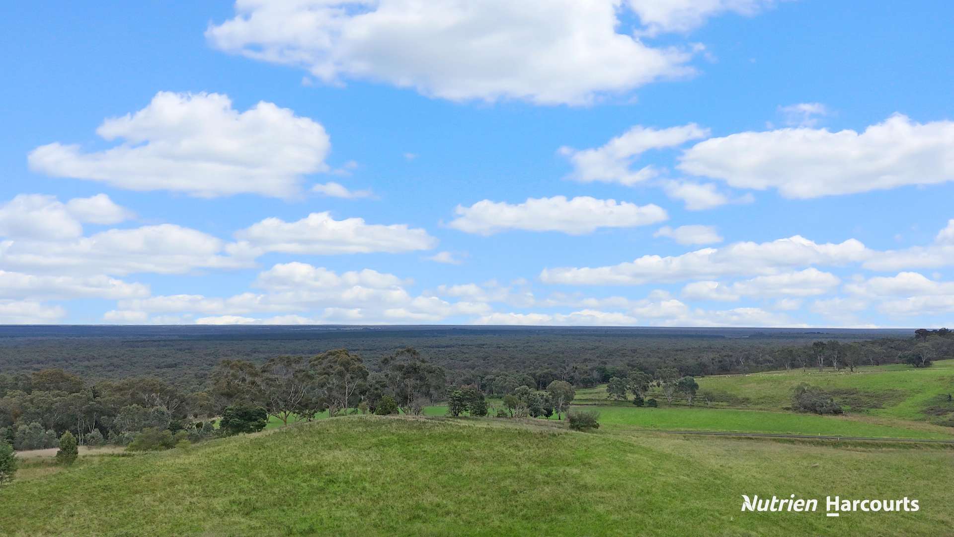411 Casterton - Dartmoor Road, Bahgallah For Sale by Farmbuy.com - image 4