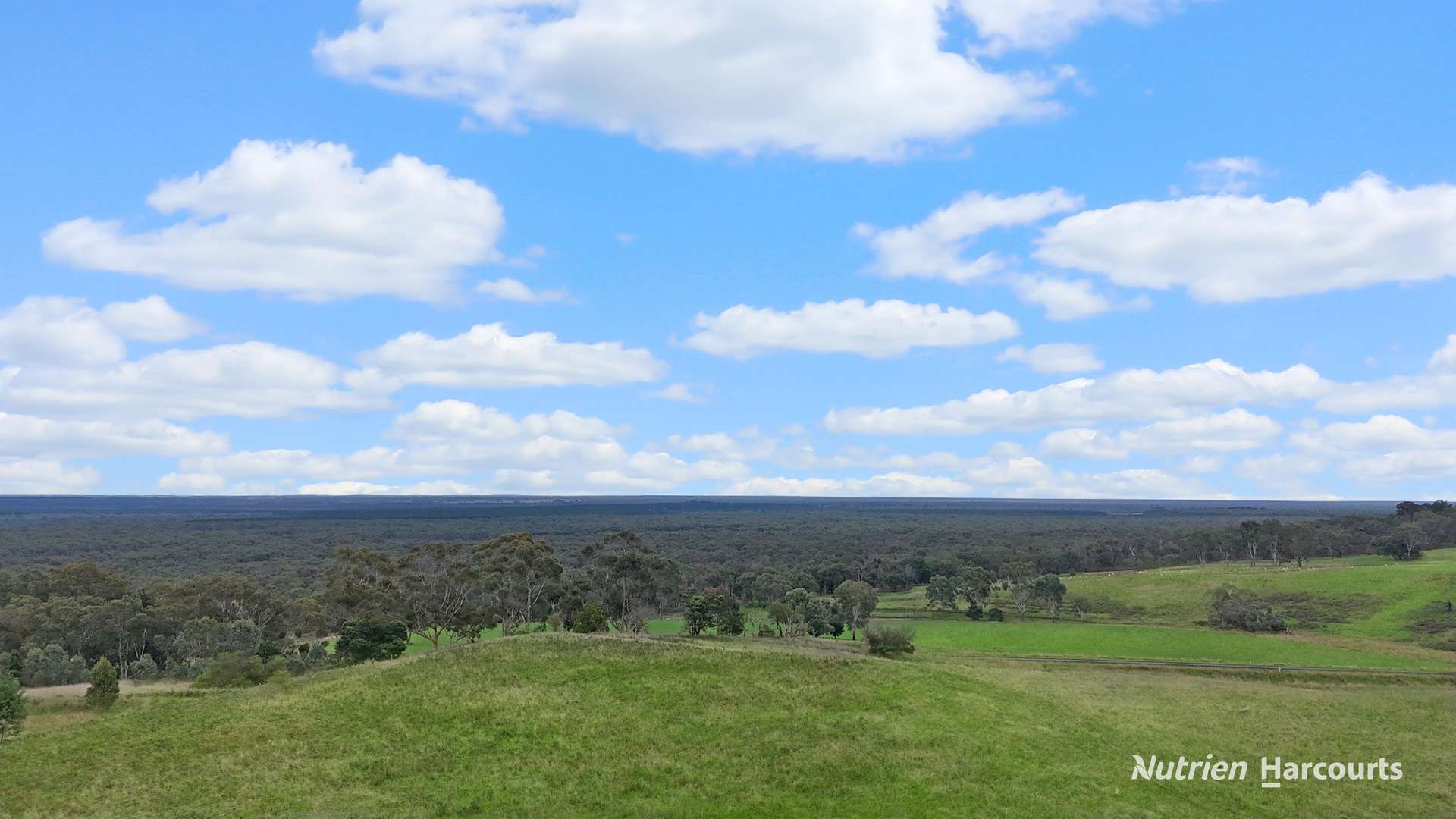 411 Casterton - Dartmoor Road, Bahgallah For Sale by Farmbuy.com - image 5