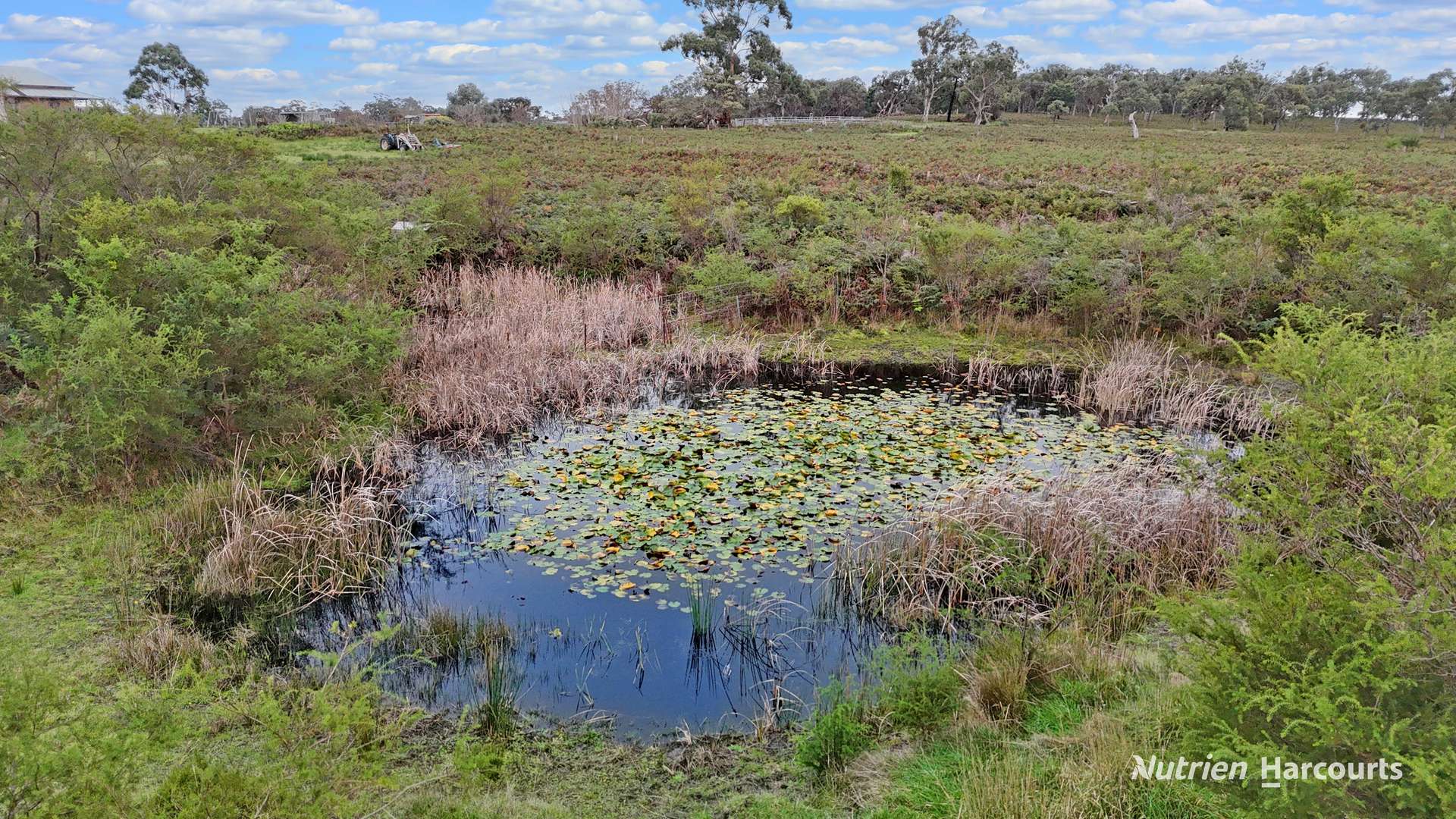 411 Casterton - Dartmoor Road, Bahgallah For Sale by Farmbuy.com - image 10