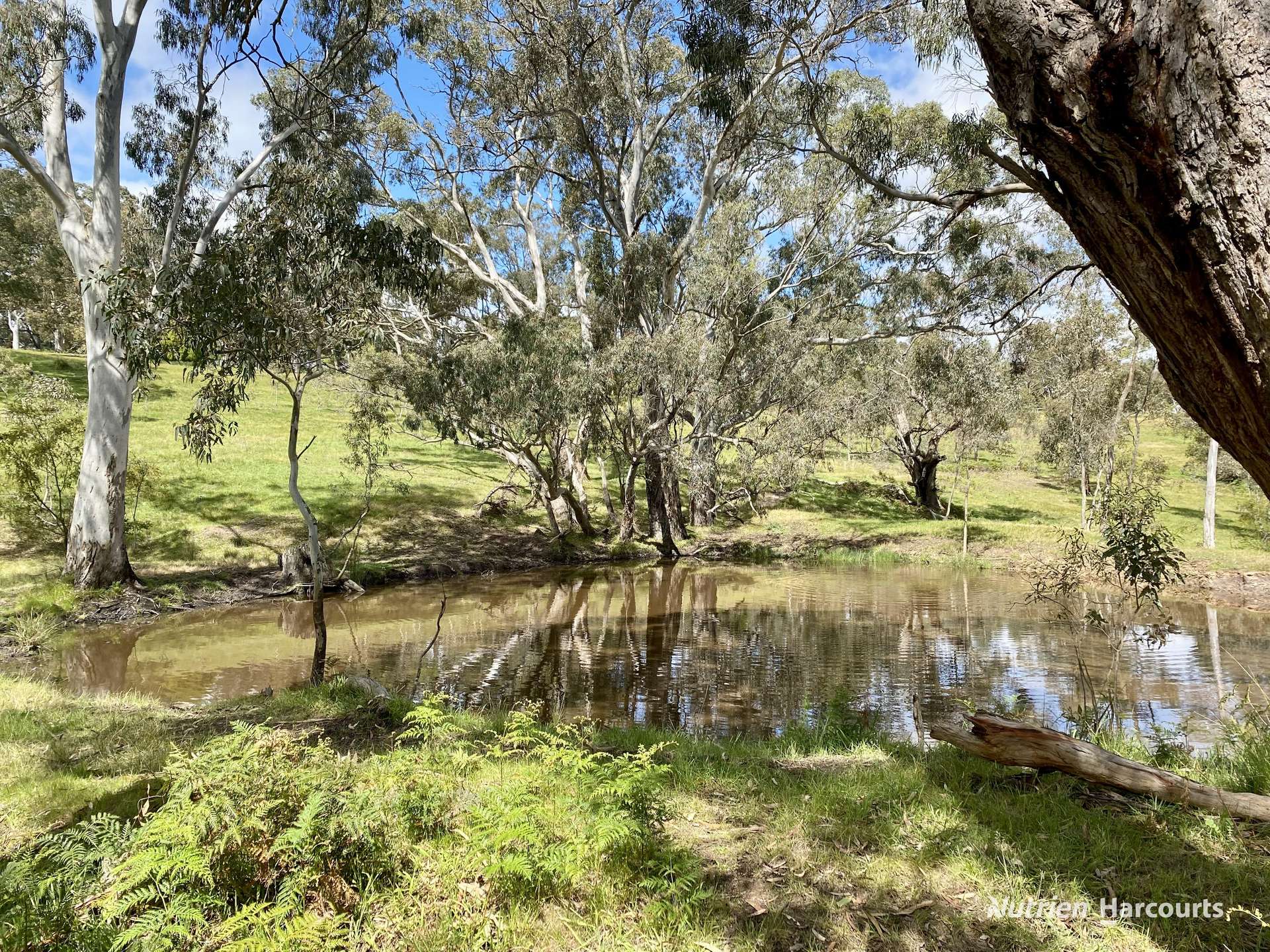 411 Casterton - Dartmoor Road, Bahgallah For Sale by Farmbuy.com - image 7