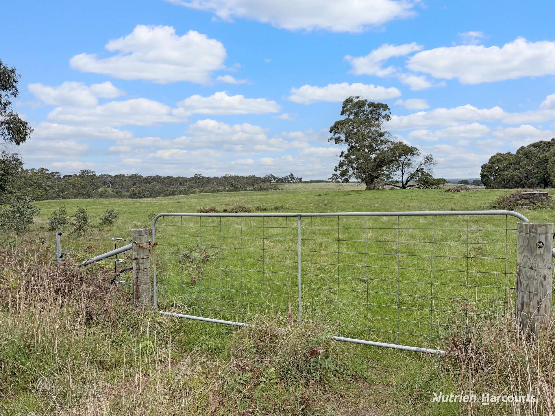 411 Casterton - Dartmoor Road, Bahgallah For Sale by Farmbuy.com - image 8