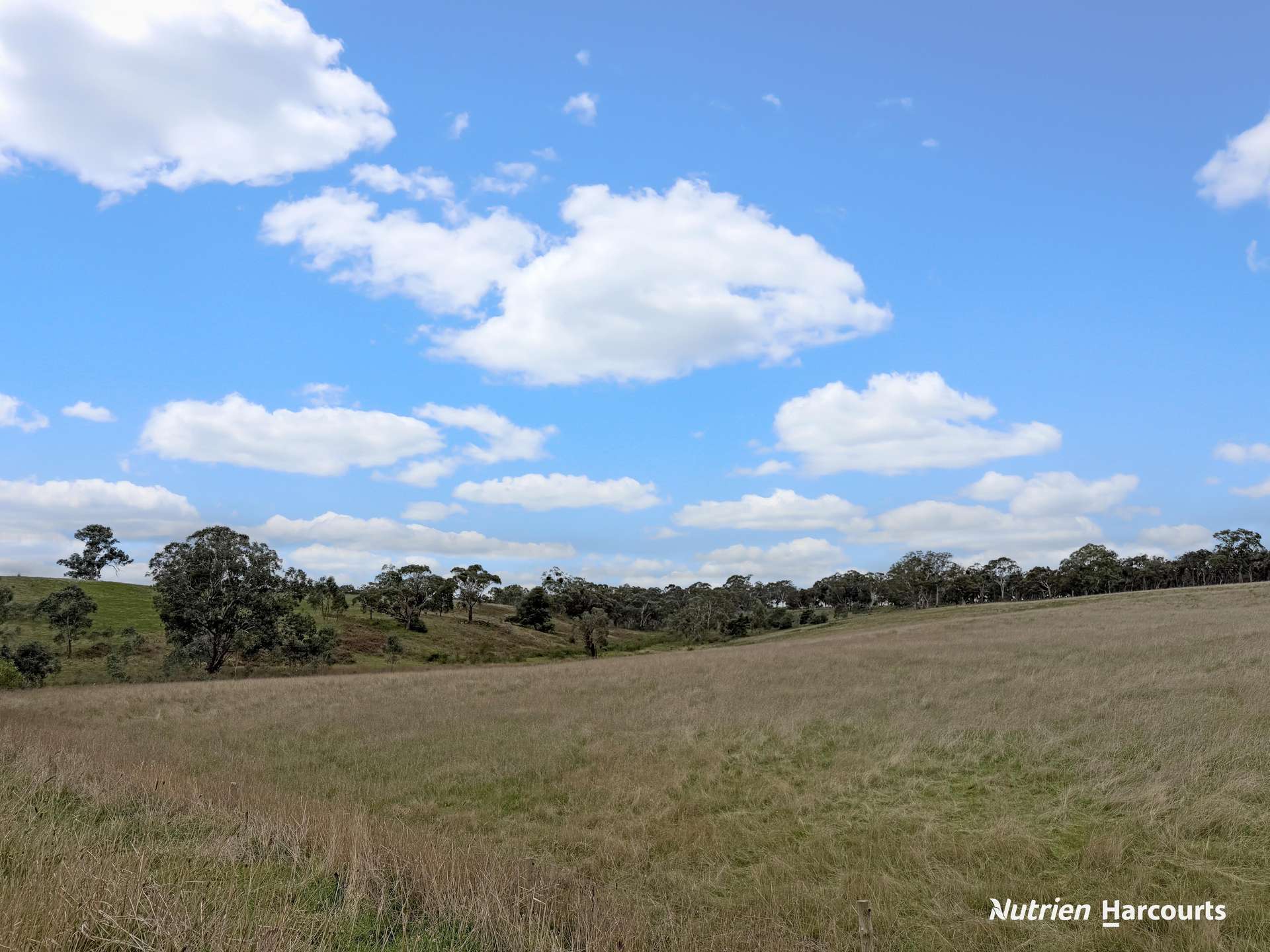 411 Casterton - Dartmoor Road, Bahgallah For Sale by Farmbuy.com - image 22
