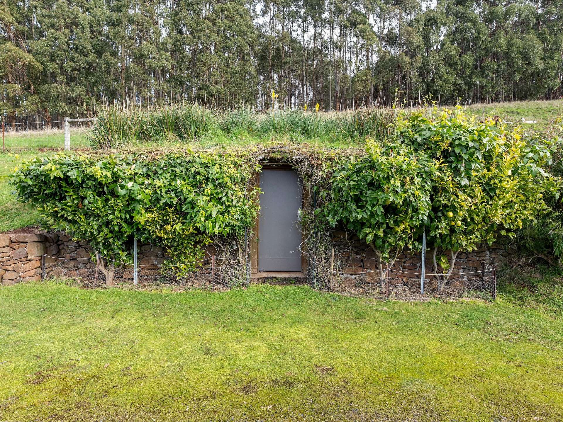 422 Paradise Road, Paradise For Sale by Farmbuy.com - image 24