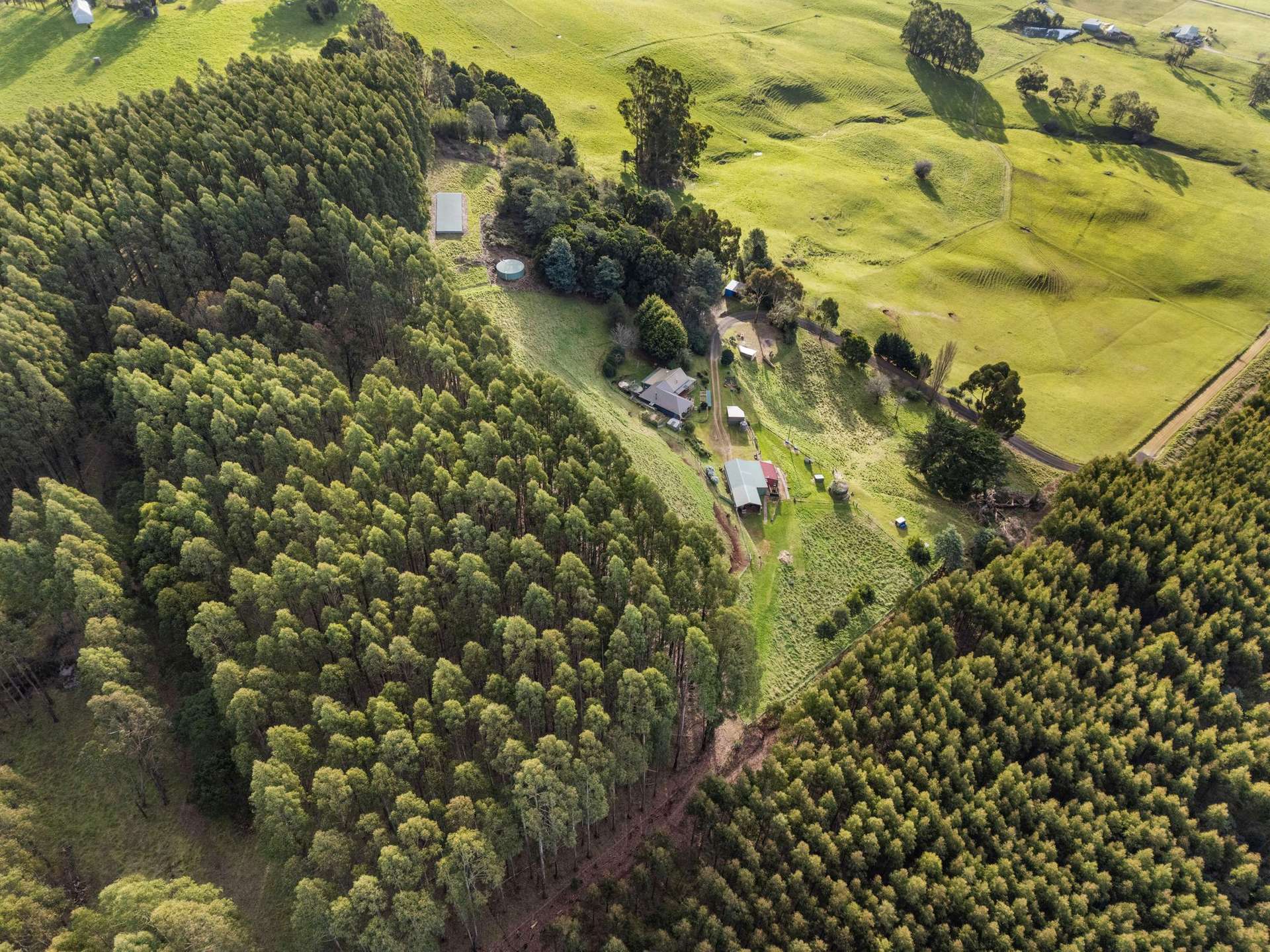 422 Paradise Road, Paradise For Sale by Farmbuy.com - image 33